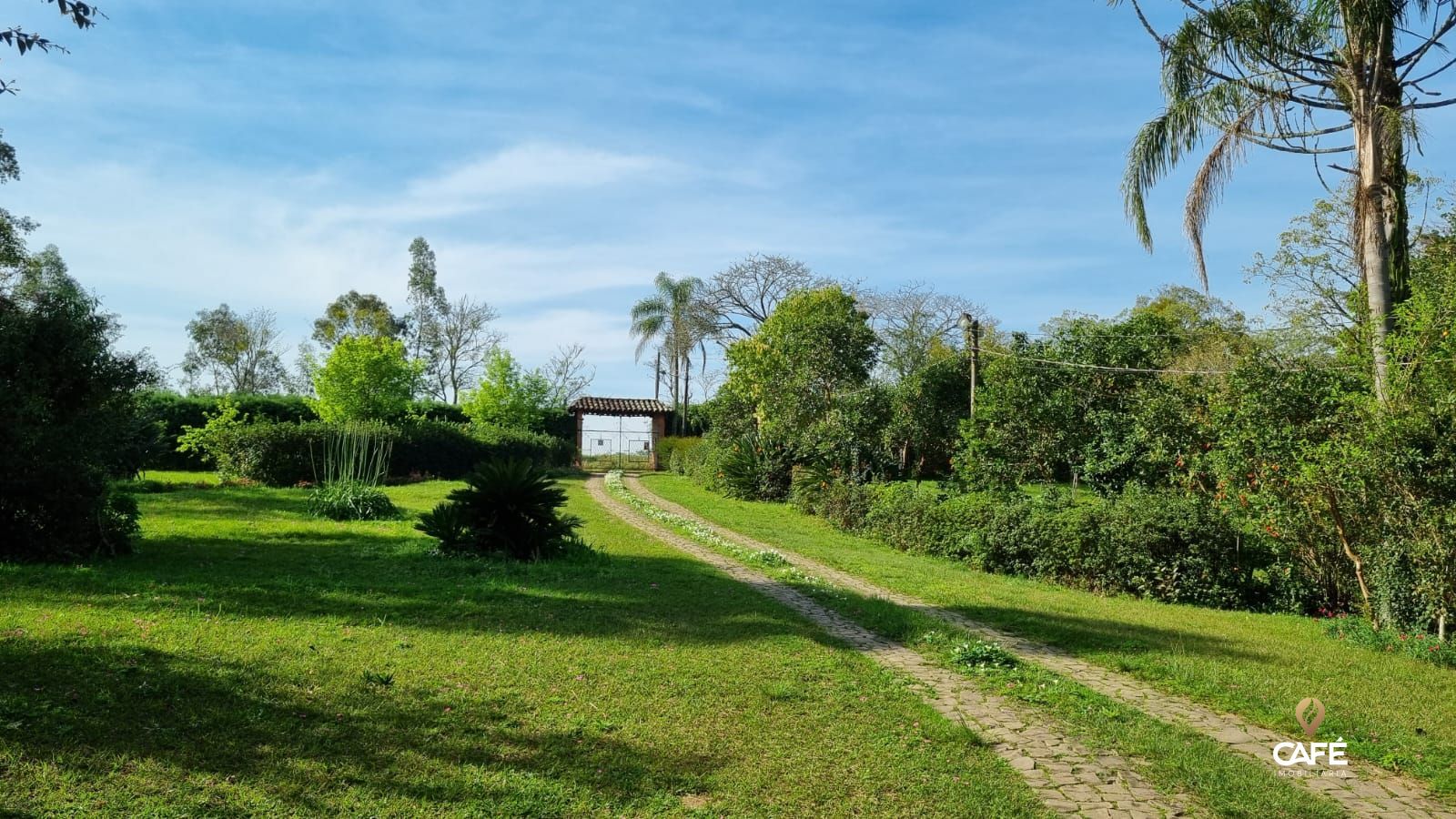 Fazenda à venda com 5 quartos, 422m² - Foto 8