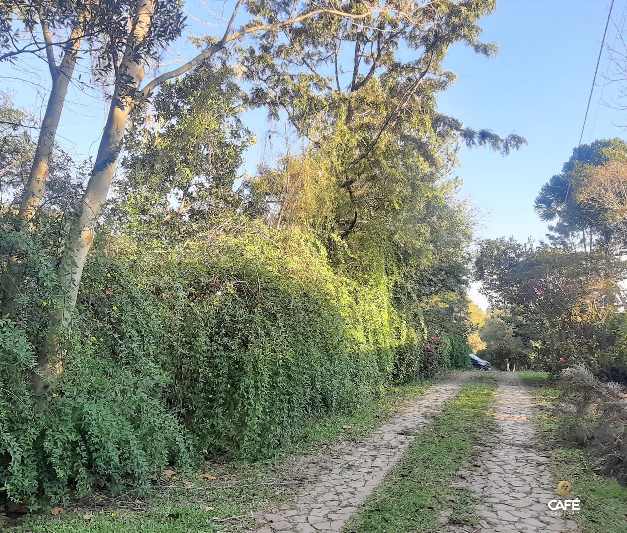 Terreno à venda, 2000m² - Foto 1