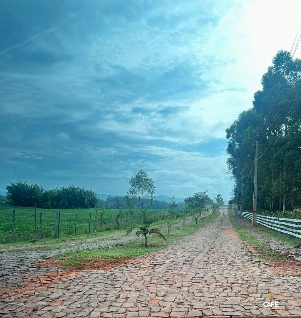 Terreno à venda, 800m² - Foto 3