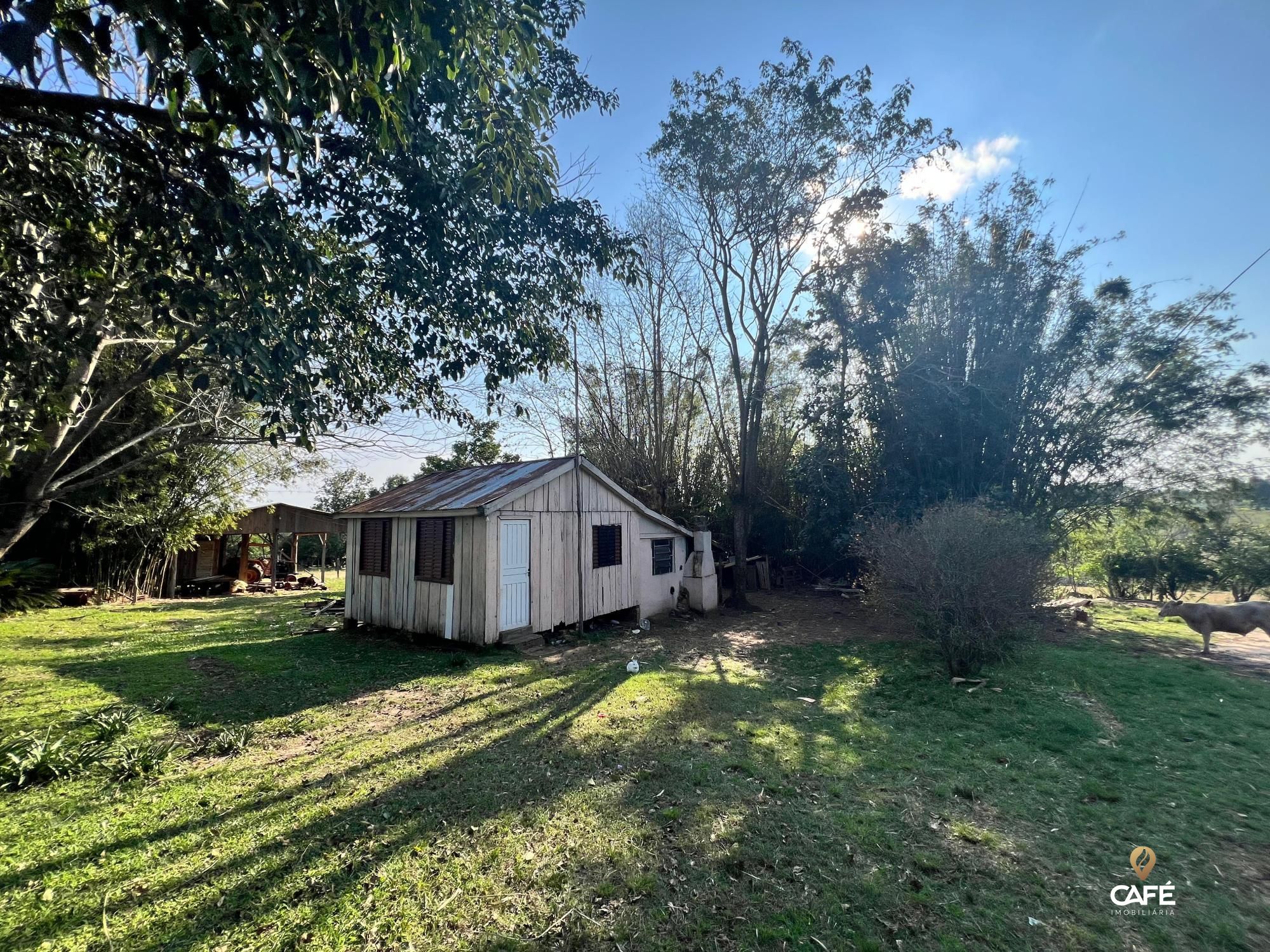 Chácara, 4 hectares - Foto 4