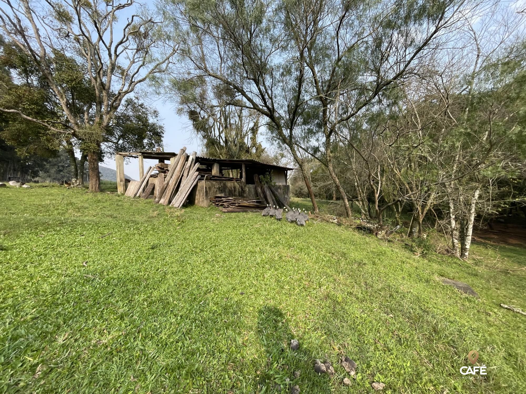 Fazenda à venda com 4 quartos, 240000m² - Foto 44