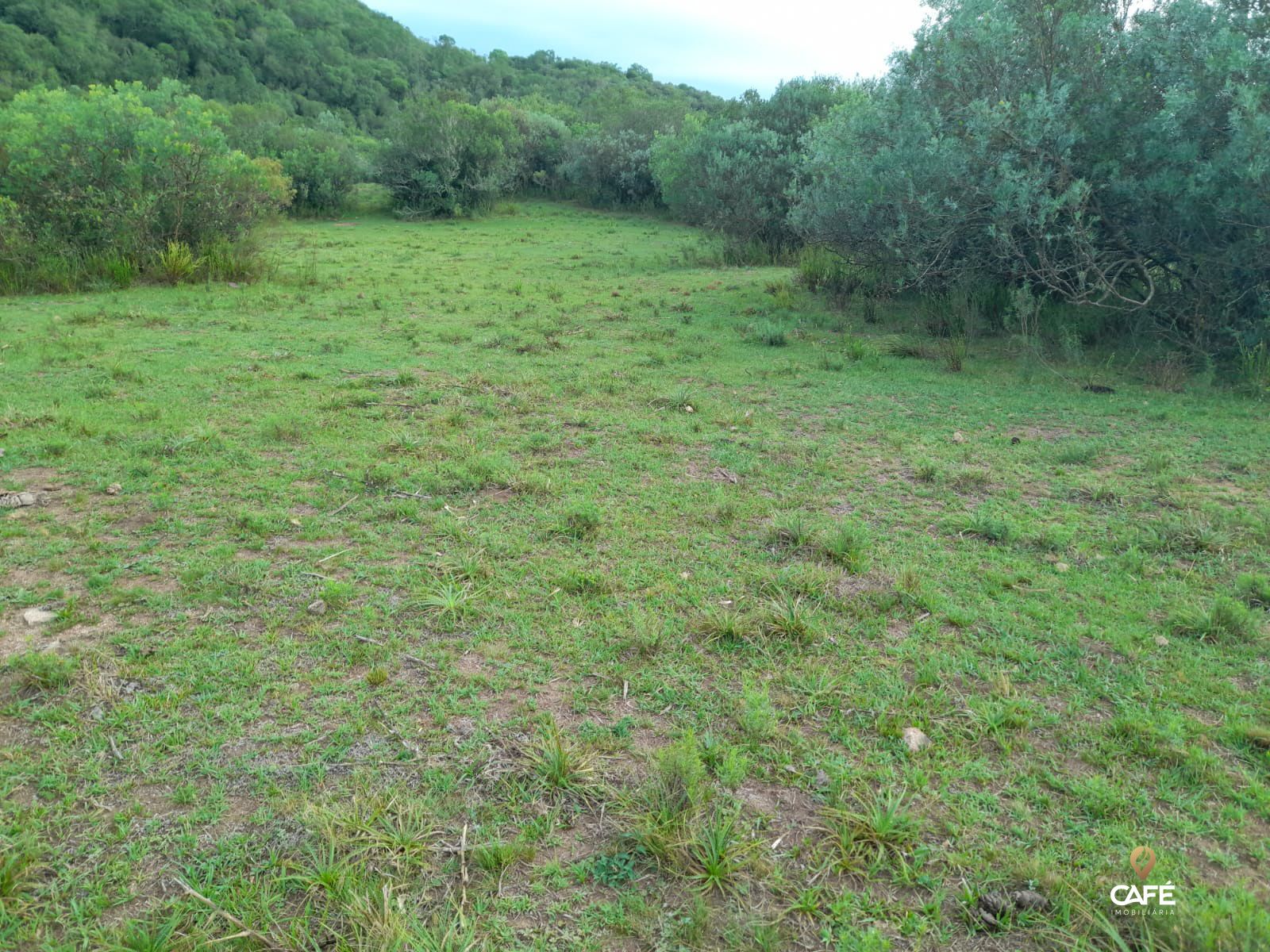 Fazenda à venda com 2 quartos, 100m² - Foto 7