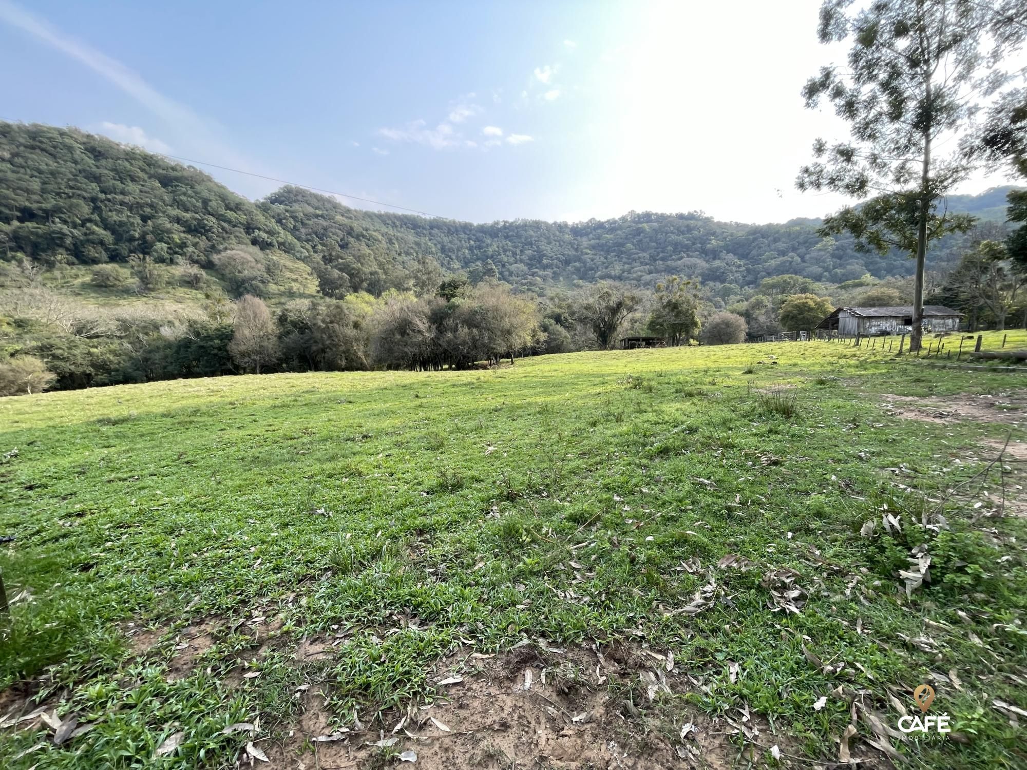 Fazenda à venda com 4 quartos, 240000m² - Foto 48