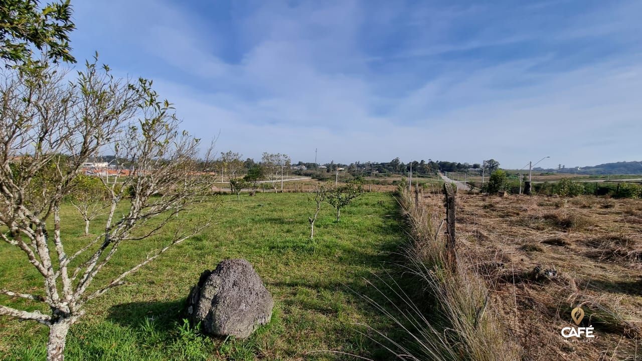 Fazenda à venda com 5 quartos, 422m² - Foto 41