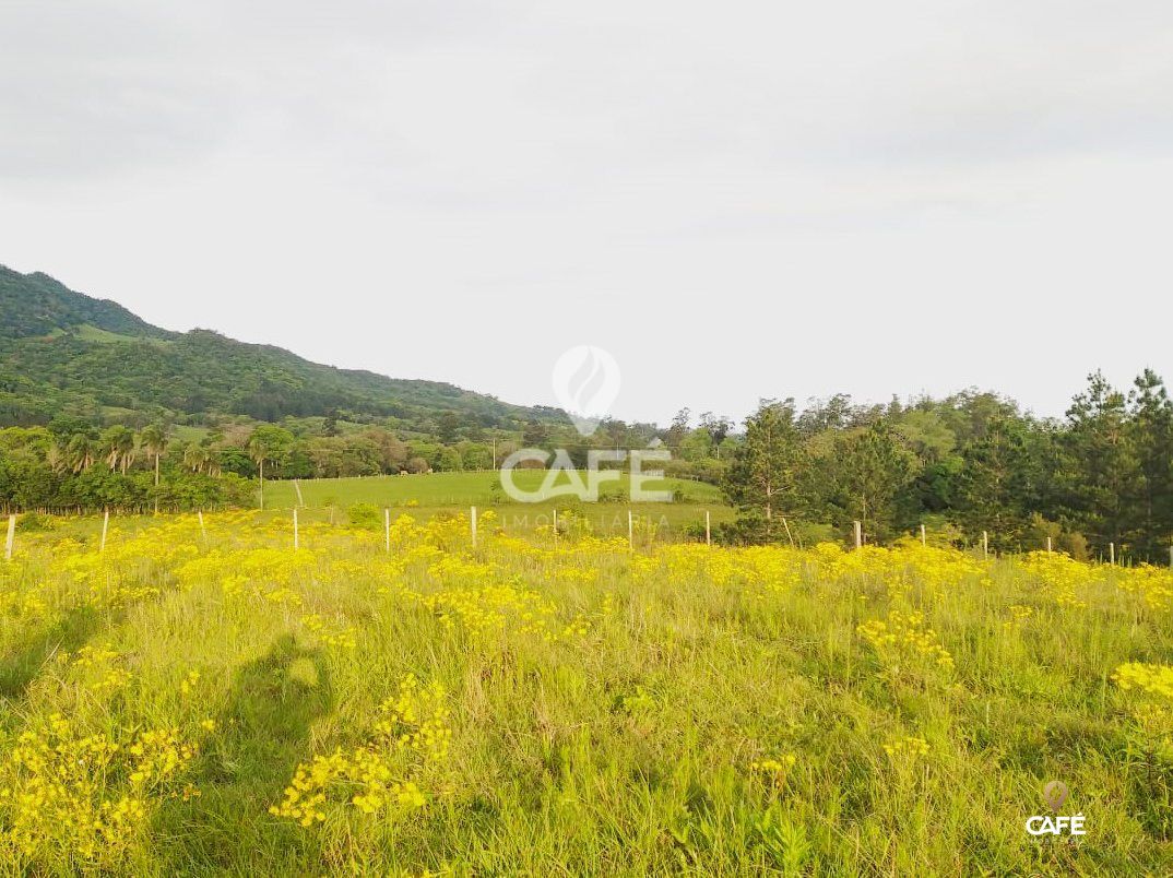 Terreno à venda, 41000m² - Foto 4