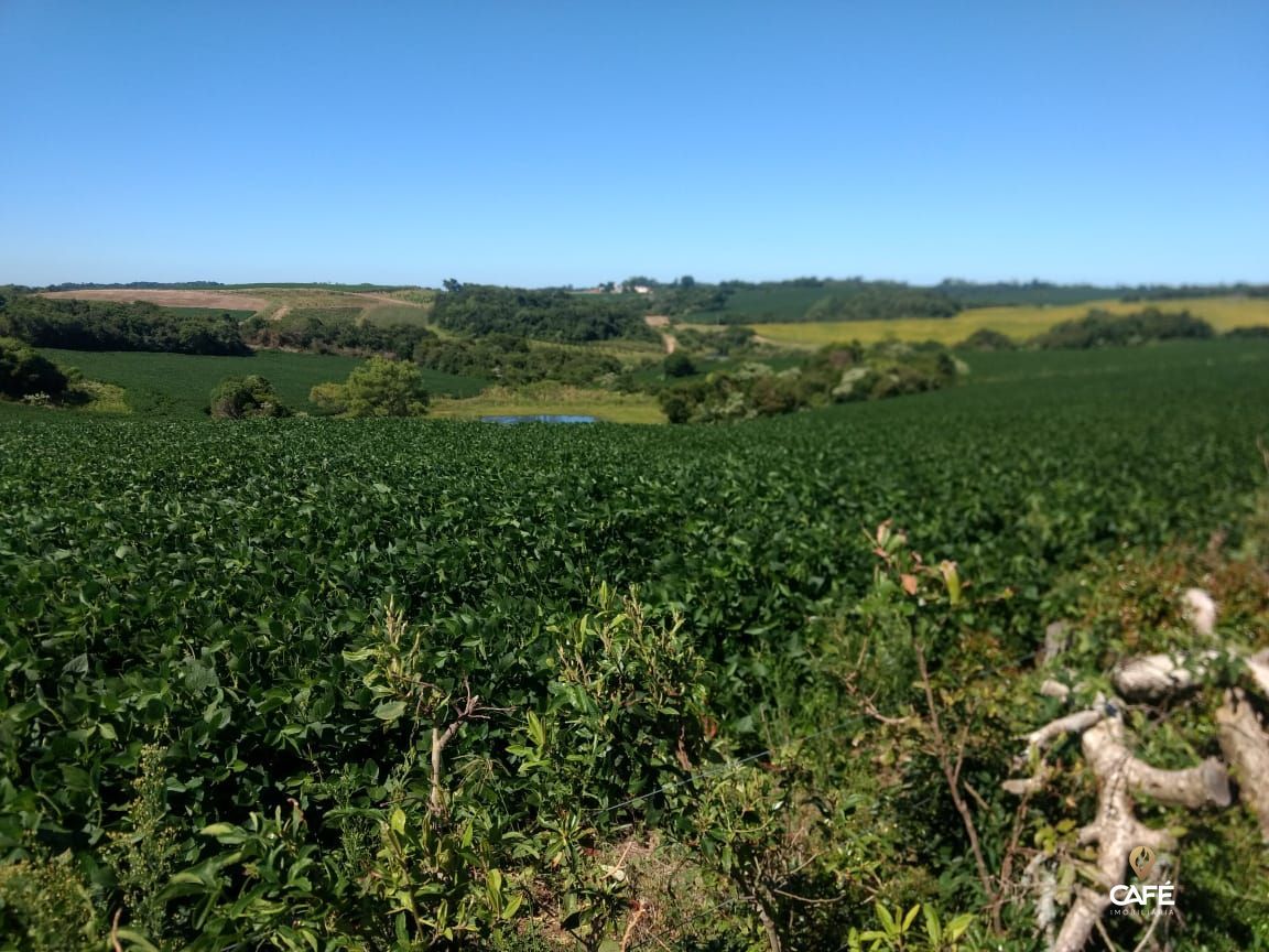 Fazenda à venda, 580000000m² - Foto 5