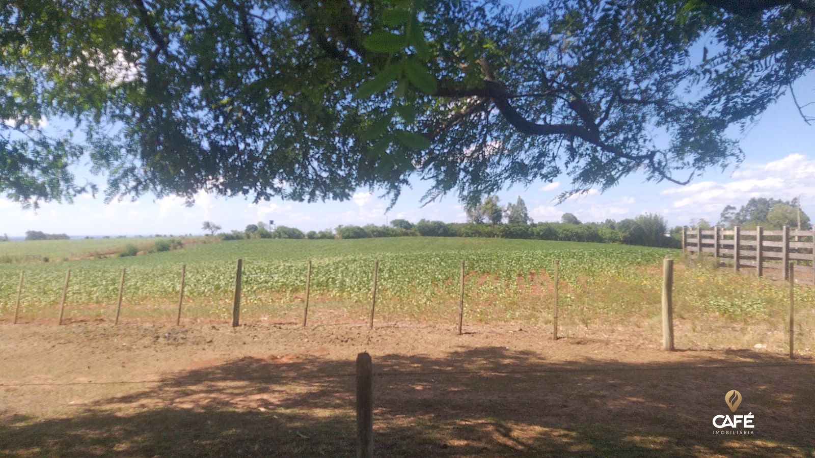 Fazenda-Sítio-Chácara, 63 hectares - Foto 4