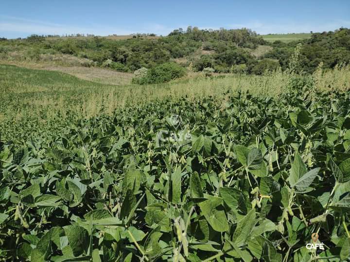 Loteamento e Condomínio à venda, 13000m² - Foto 5