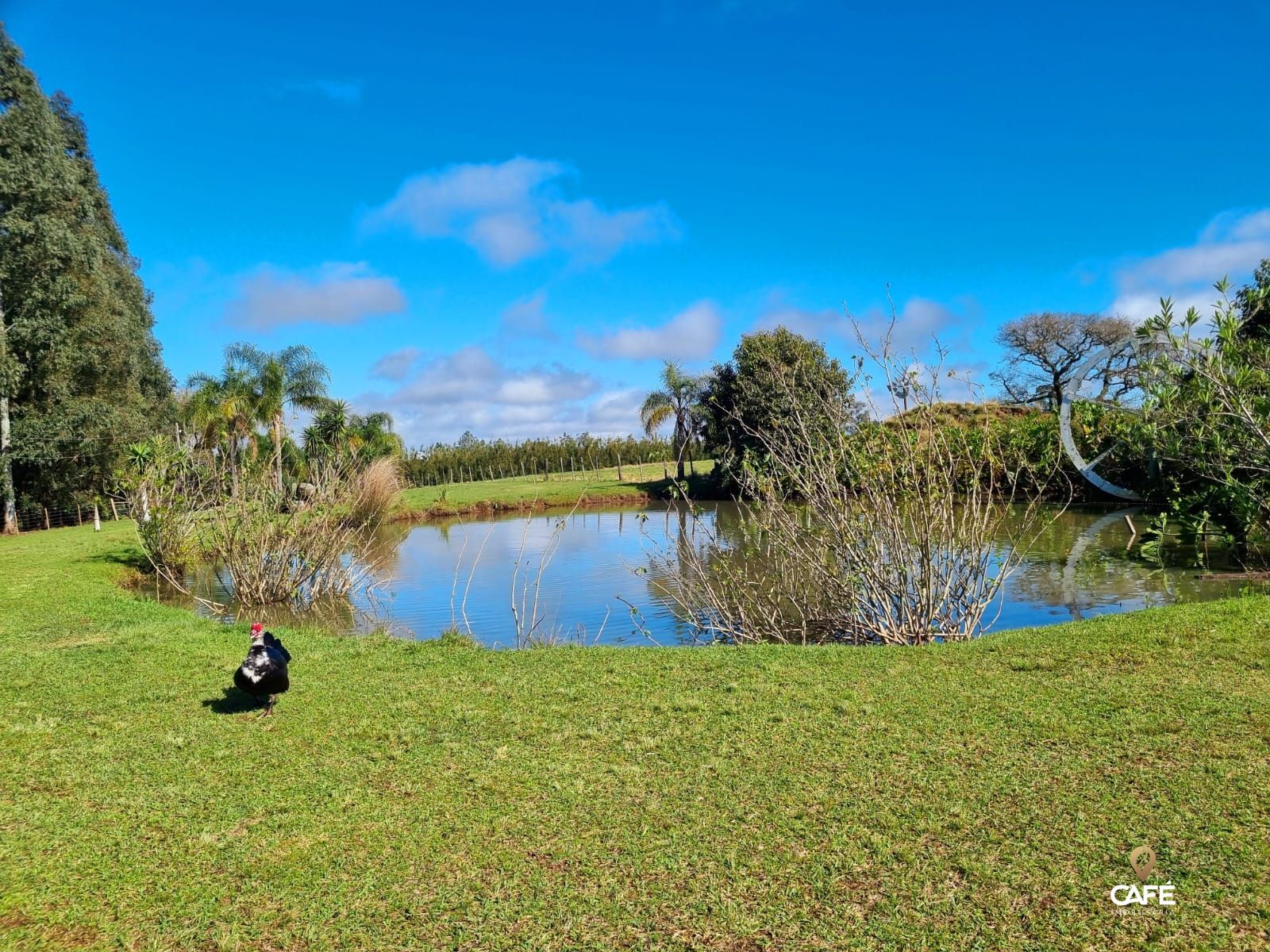 Terreno, 190000 hectares - Foto 17