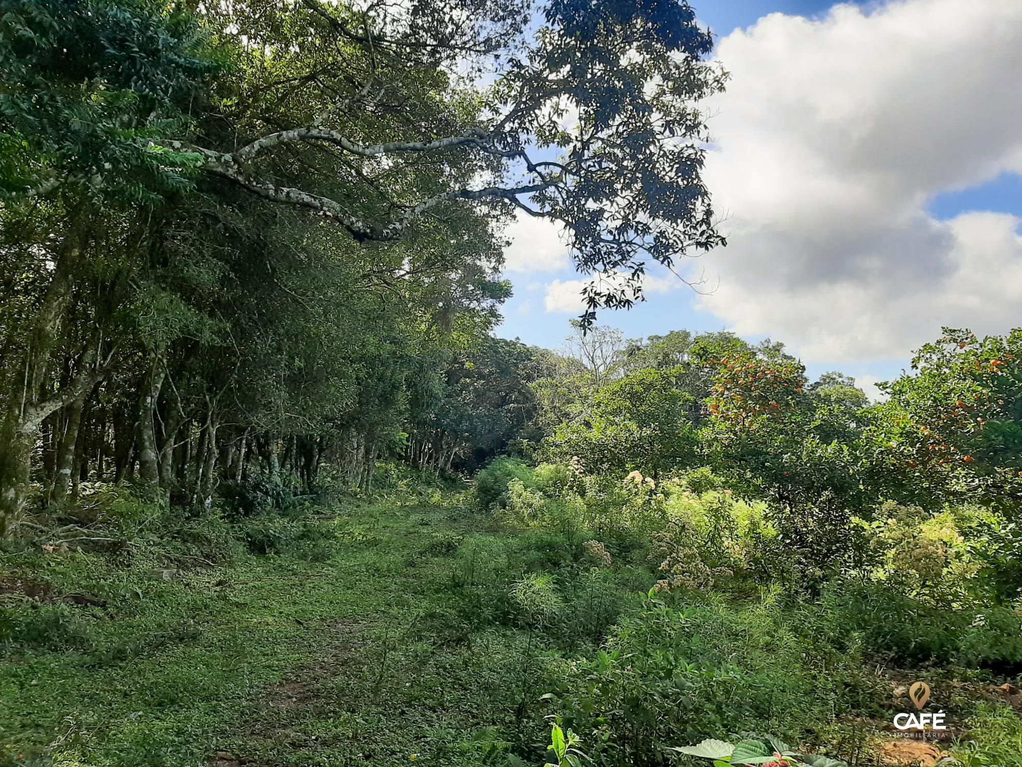 Loteamento e Condomínio à venda, 70m² - Foto 4