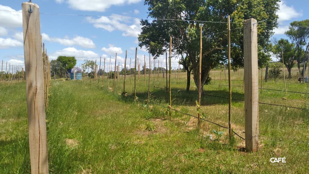 Sítio à venda com 3 quartos, 180m² - Foto 11
