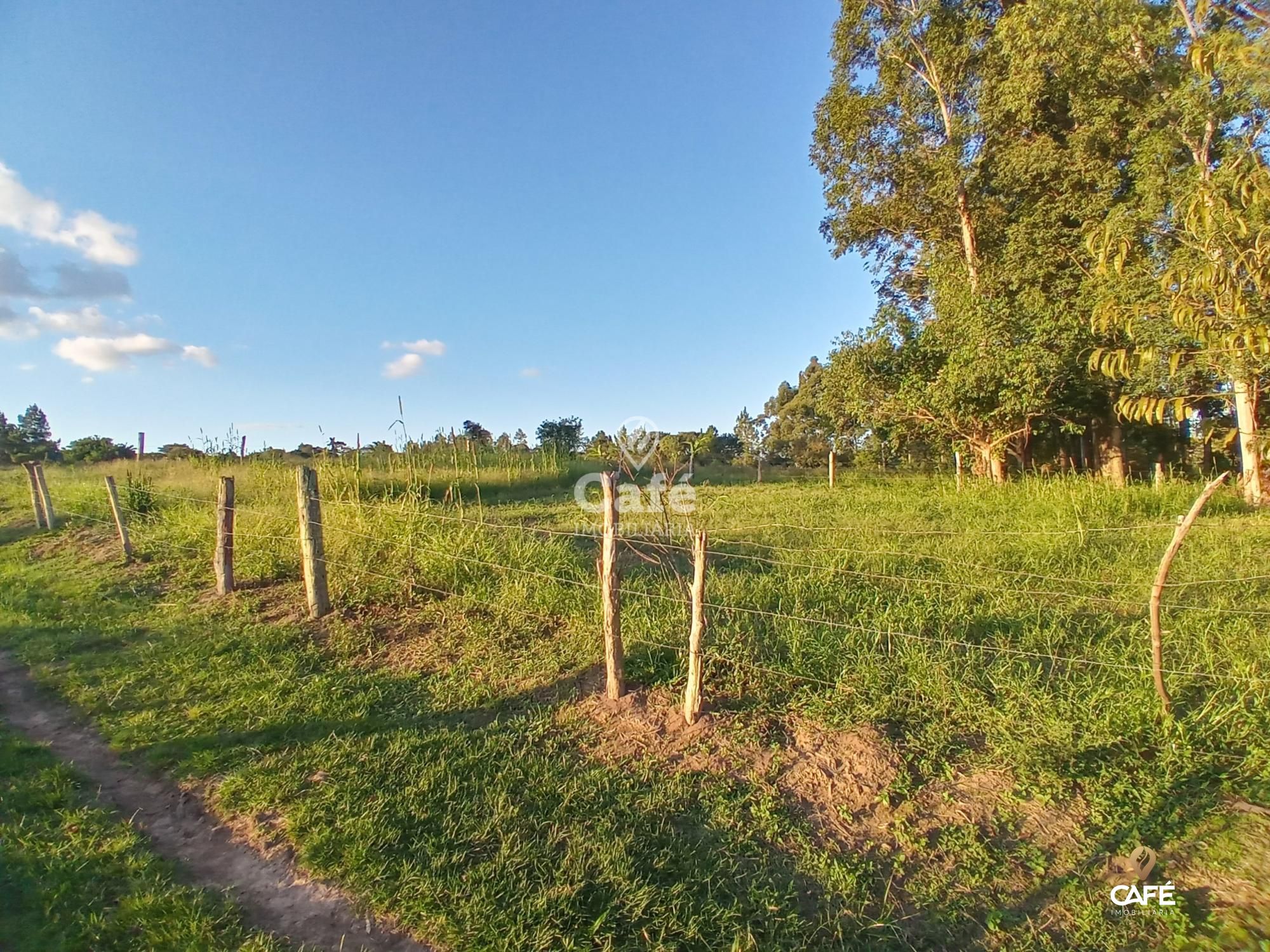 Fazenda à venda com 2 quartos, 350000000m² - Foto 8