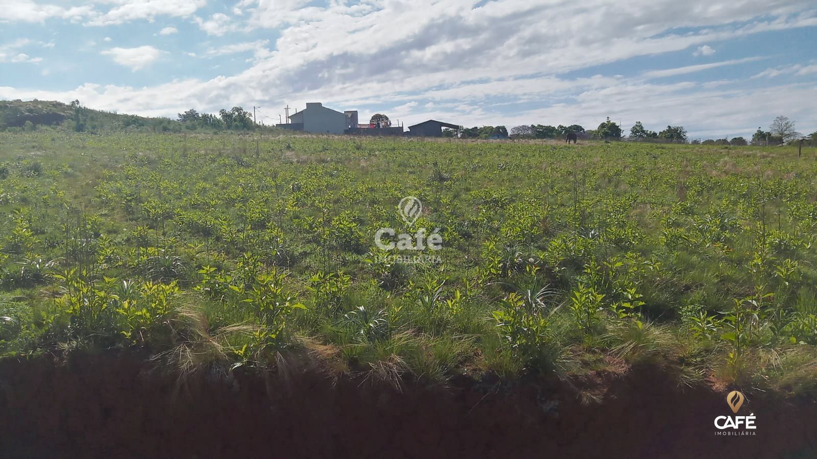 Terreno, 662 m² - Foto 4