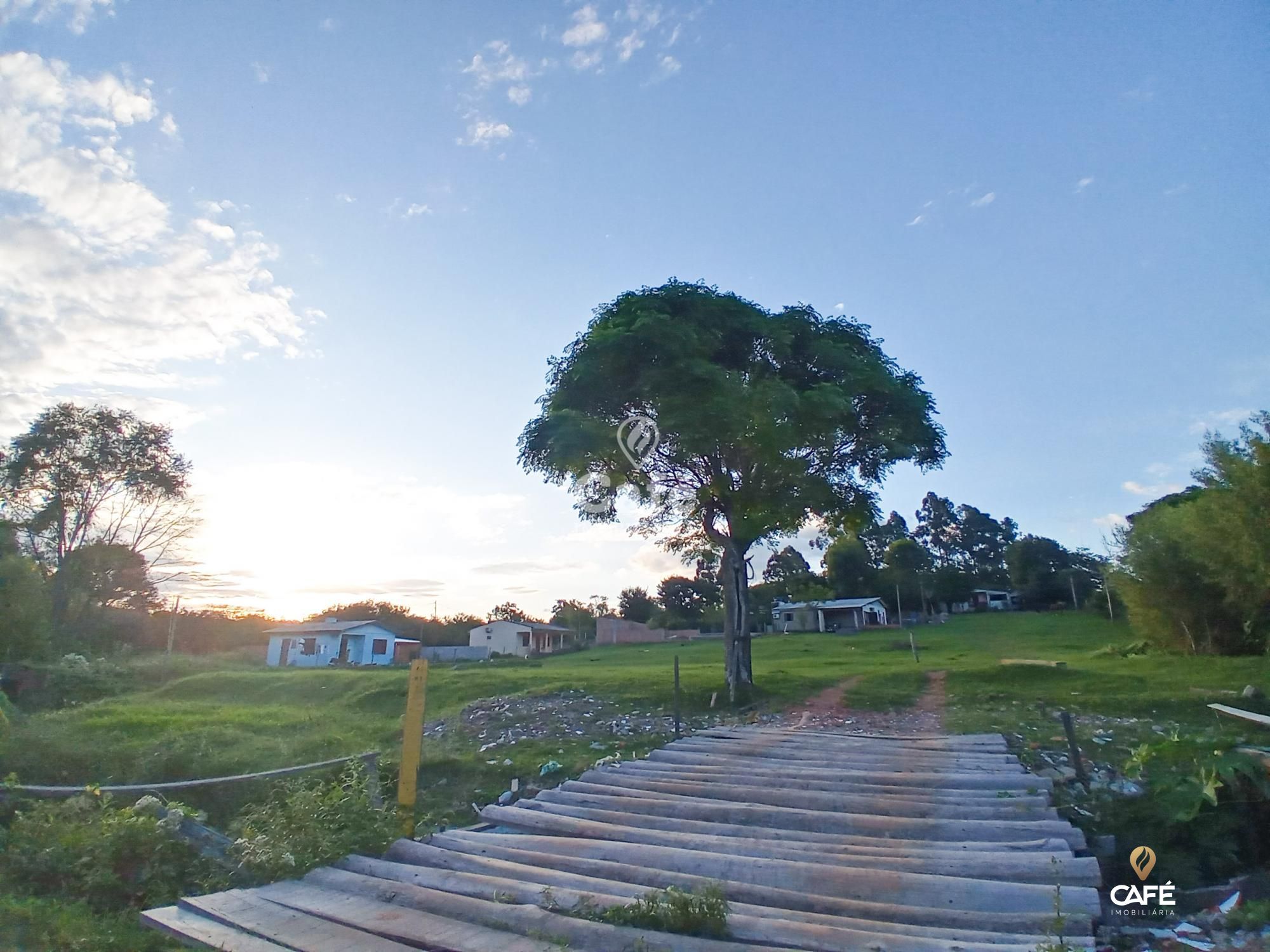 Fazenda à venda com 2 quartos, 350000000m² - Foto 14