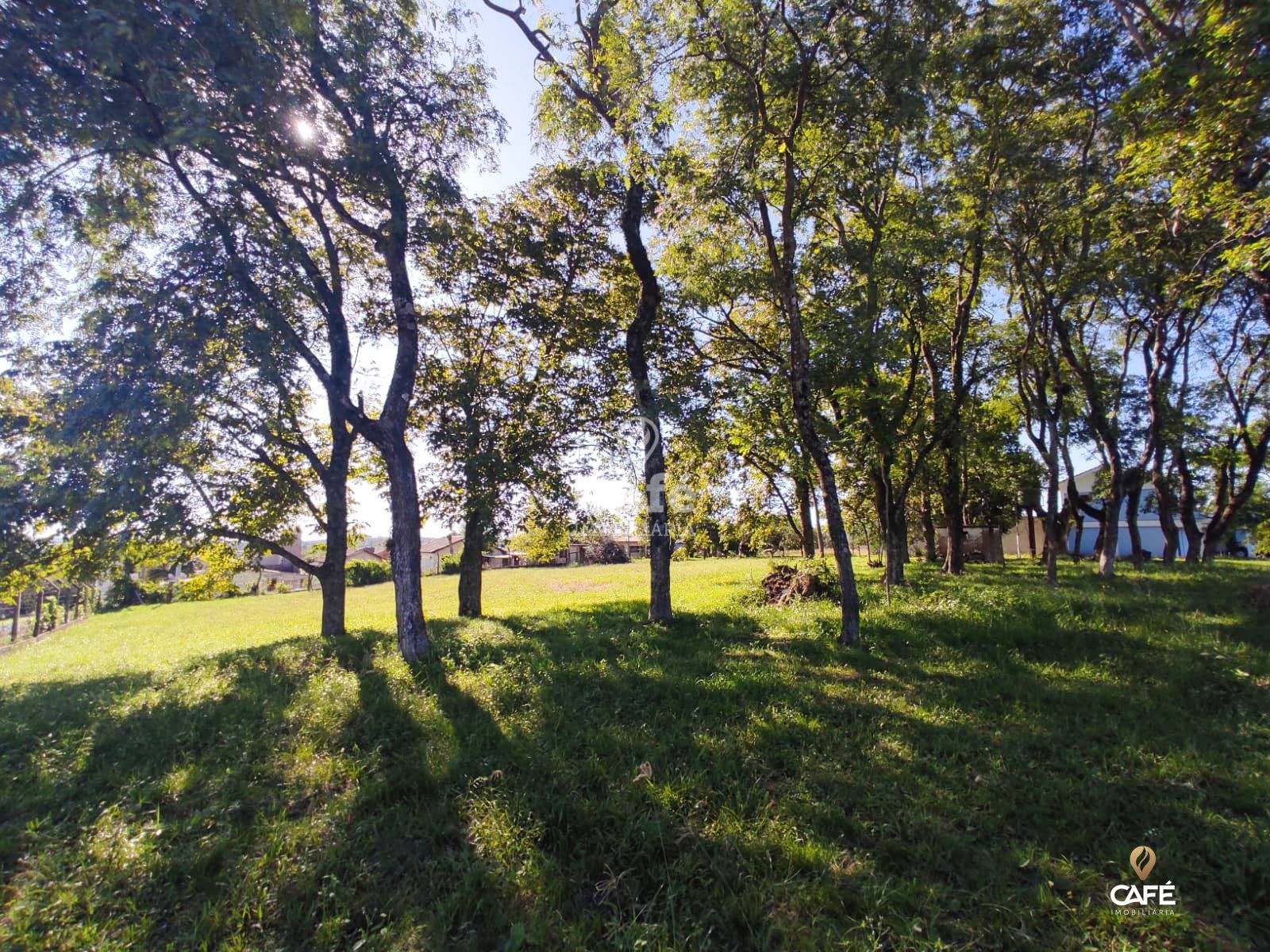 Terreno à venda, 1000m² - Foto 4