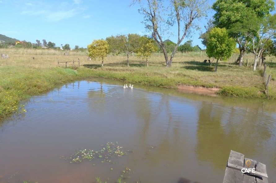 Fazenda à venda com 5 quartos, 422m² - Foto 39