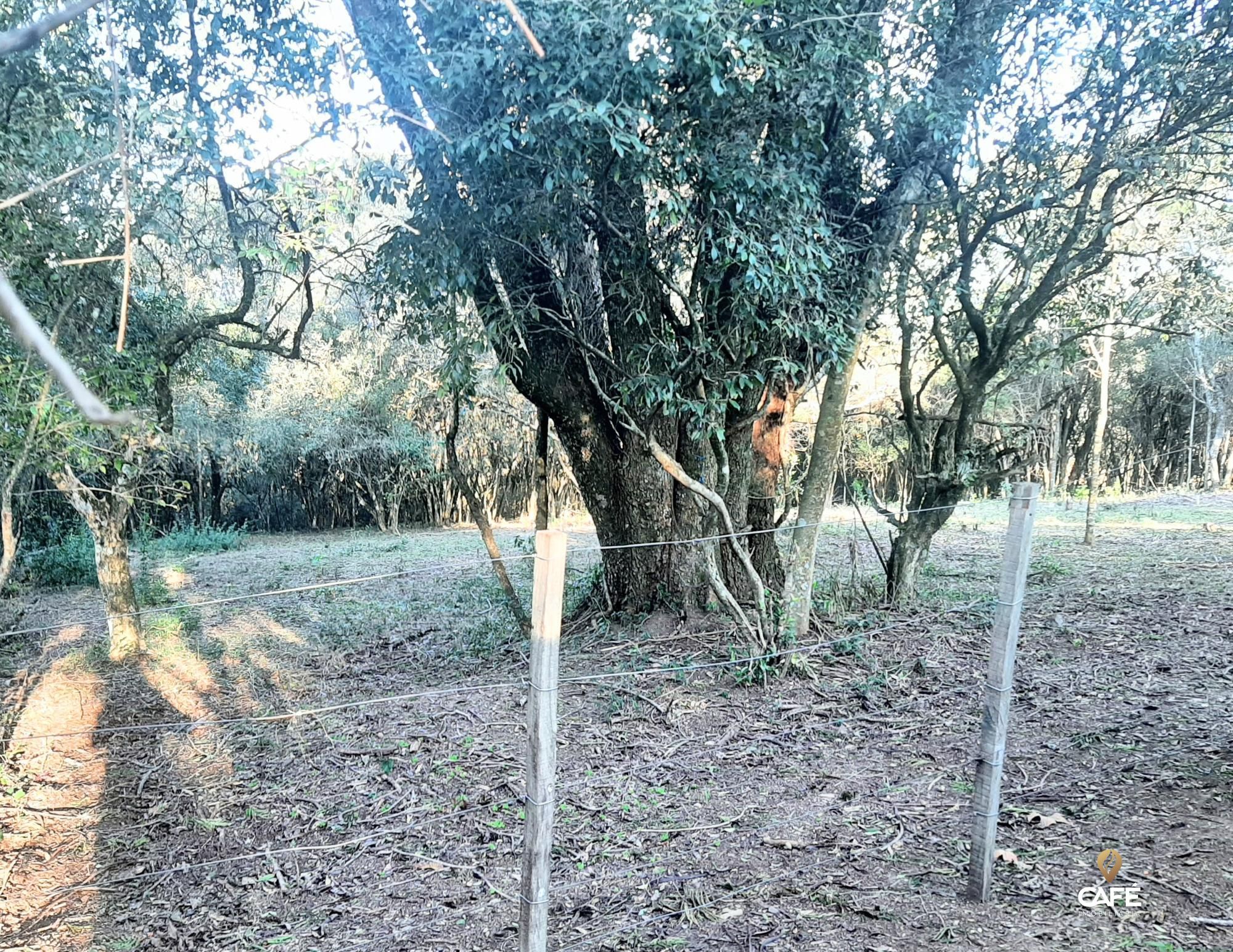 Terreno, 2000 m² - Foto 3