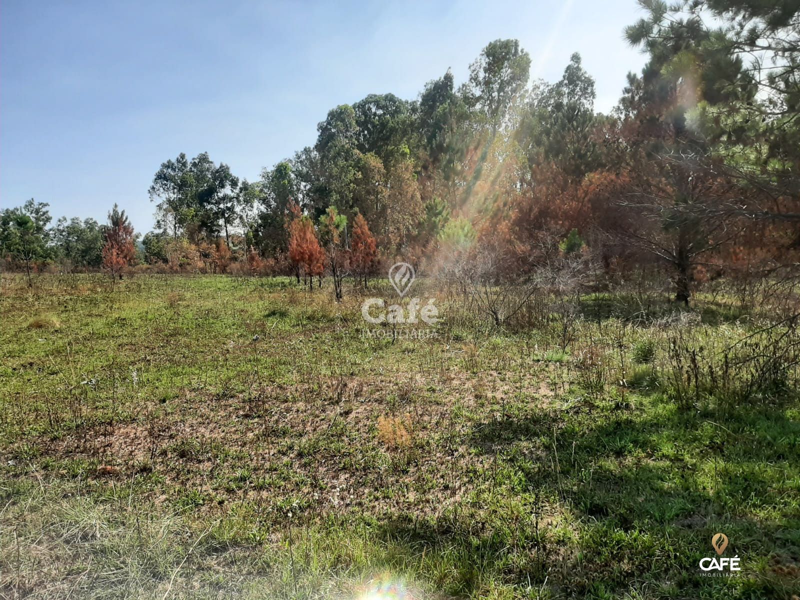 Terreno, 2000 m² - Foto 4