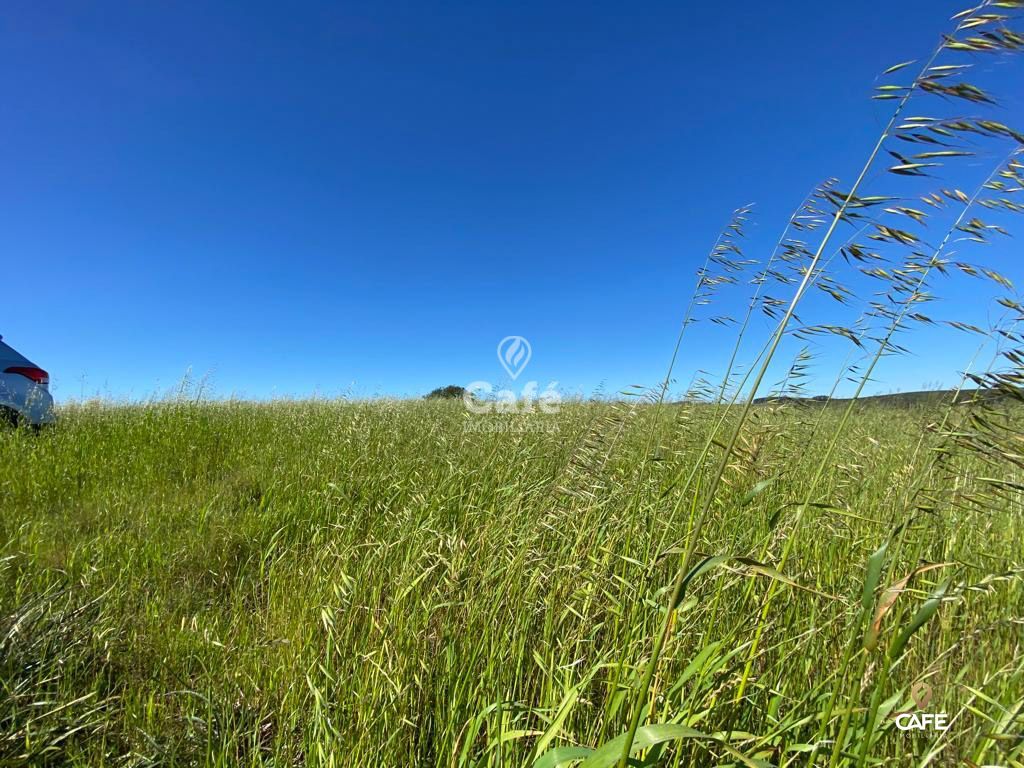 Loteamento e Condomínio à venda, 4200000000m² - Foto 6