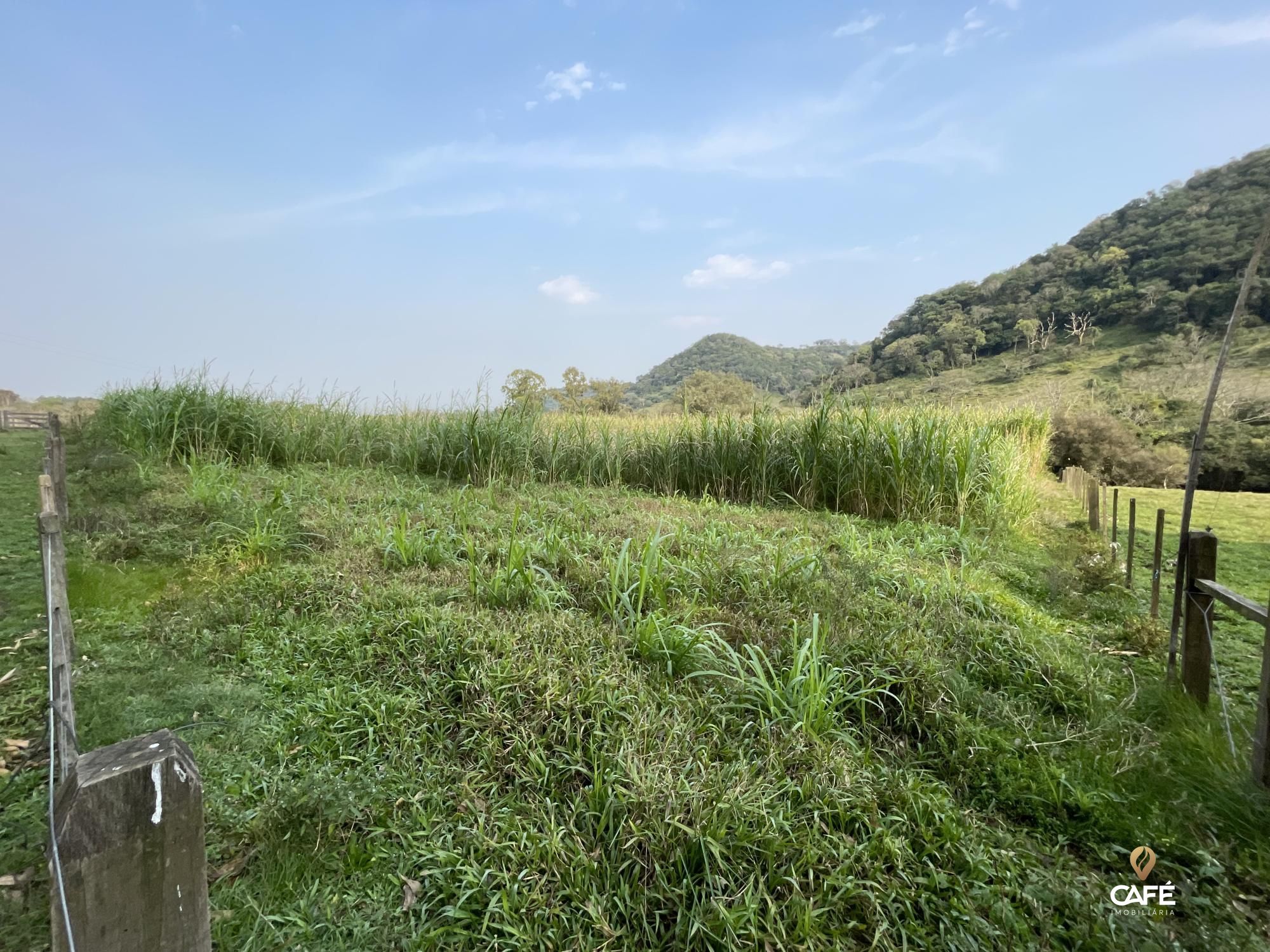 Fazenda à venda com 4 quartos, 240000m² - Foto 49