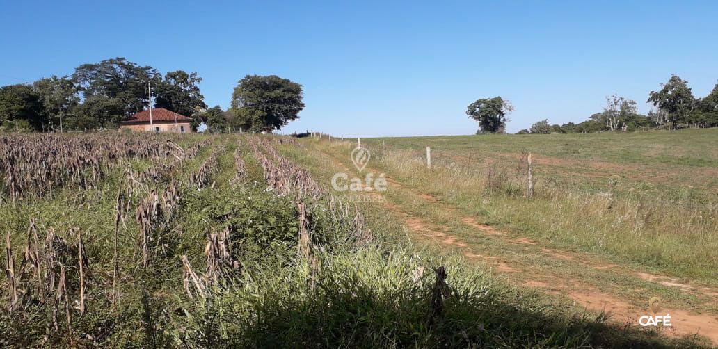 Fazenda à venda com 2 quartos, 70m² - Foto 3