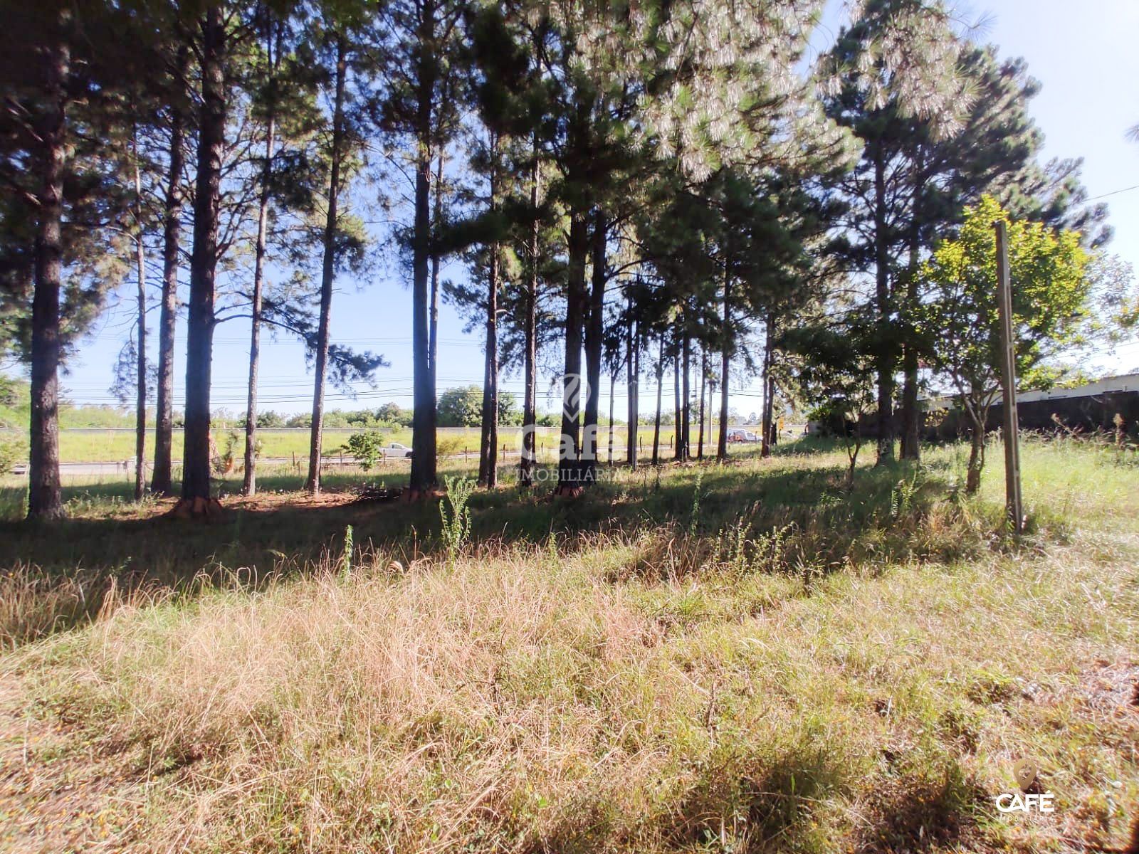 Terreno, 37 m² - Foto 2