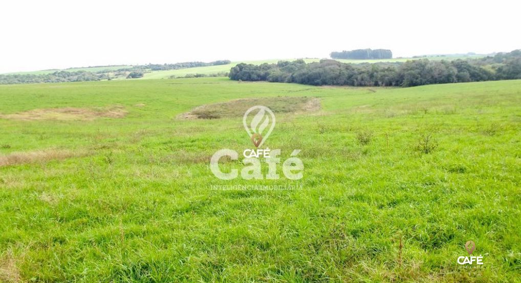 Loteamento e Condomínio, 3550000 hectares - Foto 1