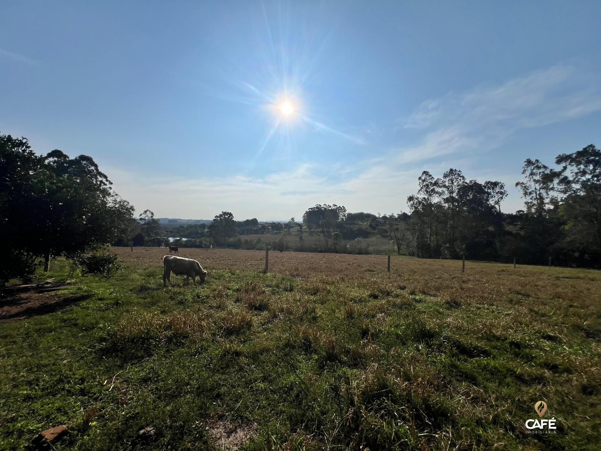 Fazenda à venda, 40m² - Foto 8