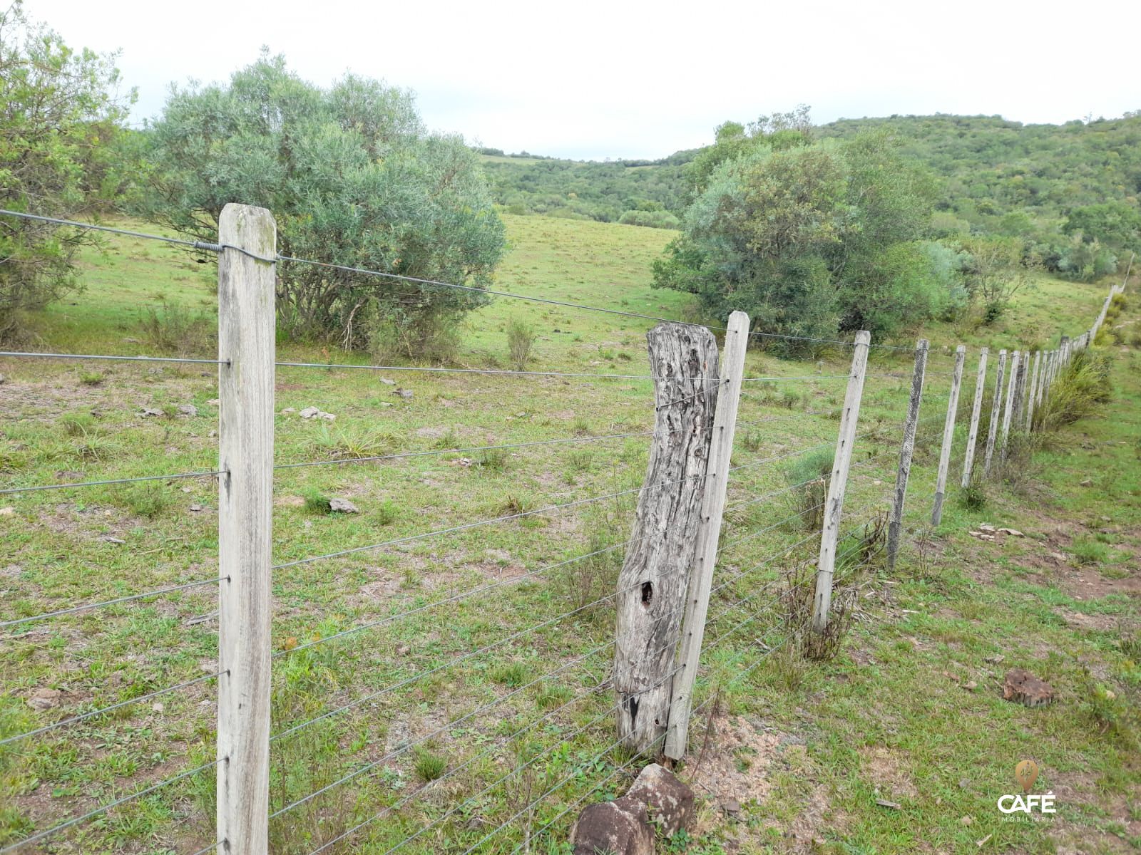 Fazenda à venda com 2 quartos, 100m² - Foto 8