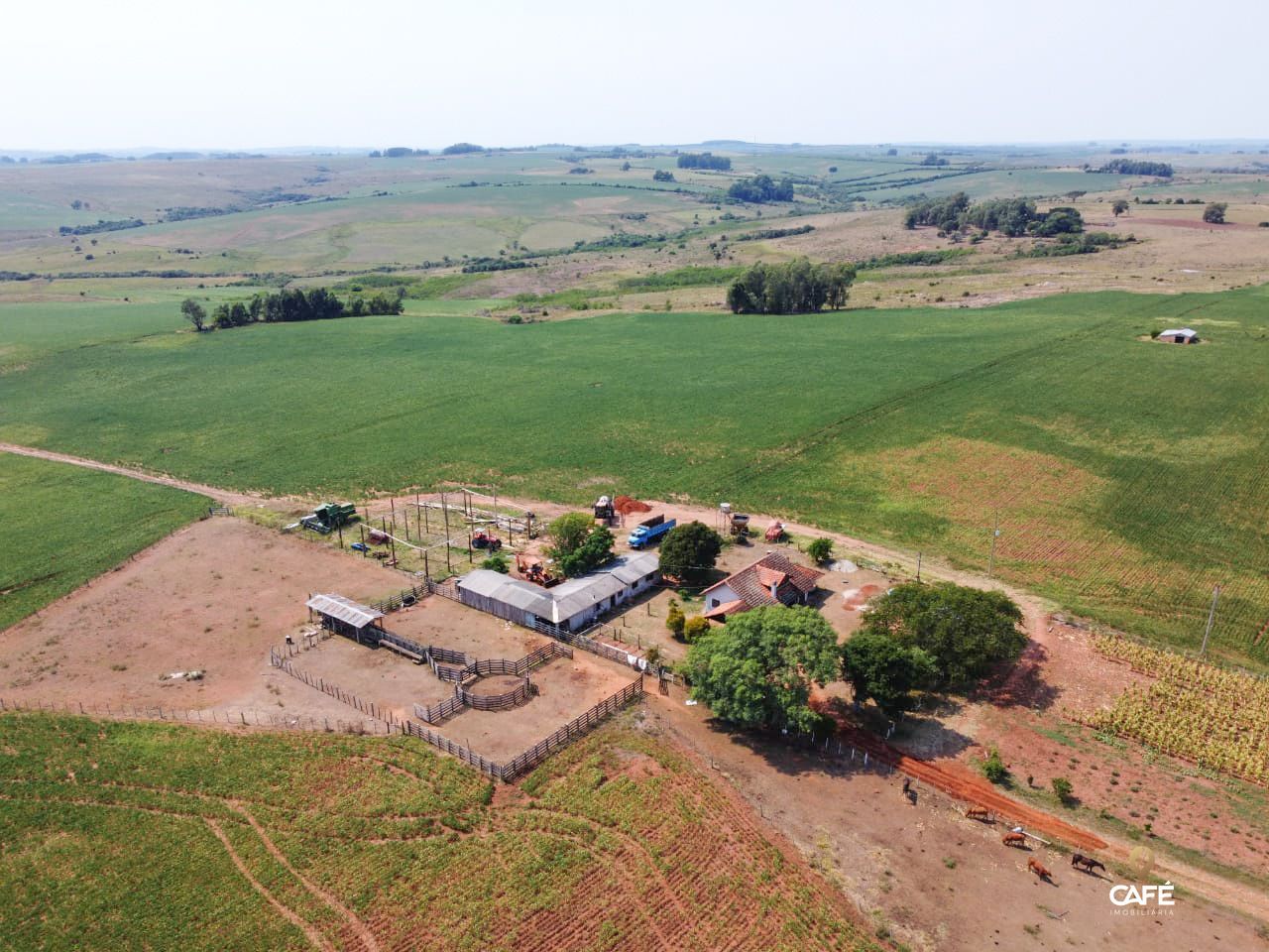 Fazenda-Sítio-Chácara, 63 hectares - Foto 1