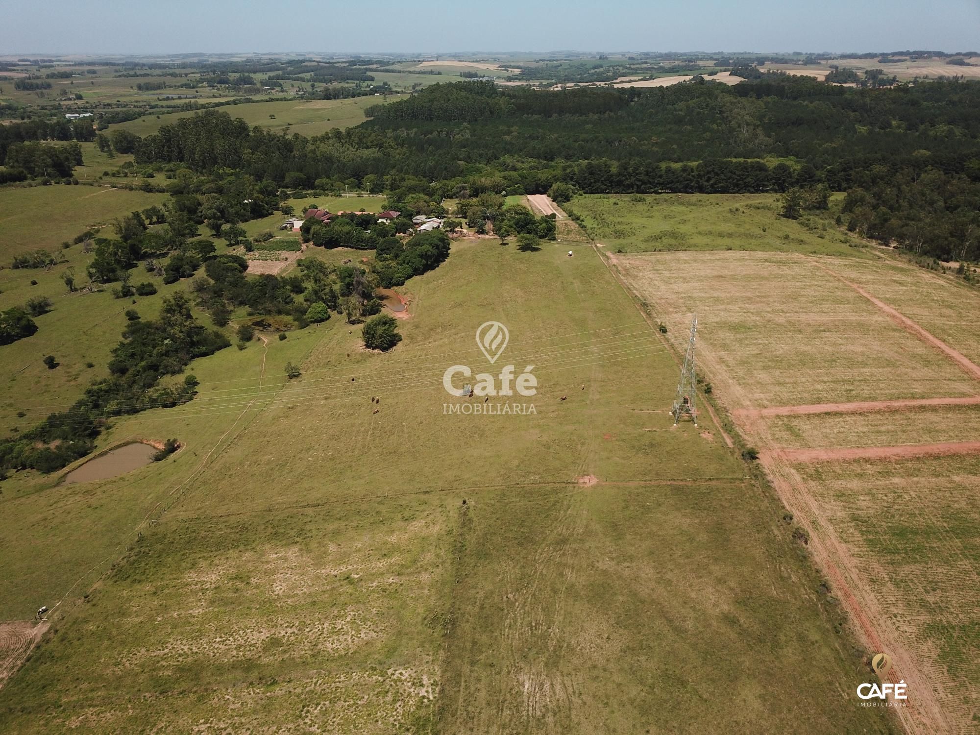 Fazenda à venda com 2 quartos, 180000m² - Foto 10