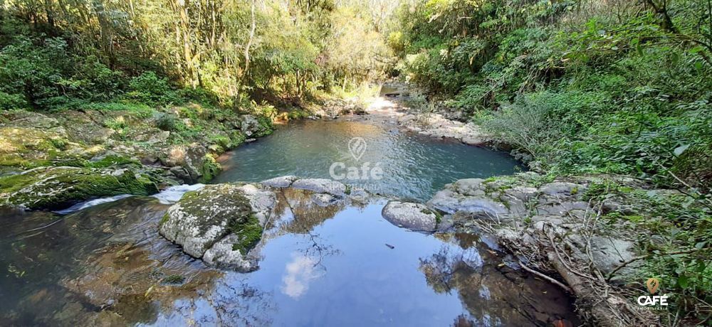 Terreno à venda, 30000m² - Foto 2