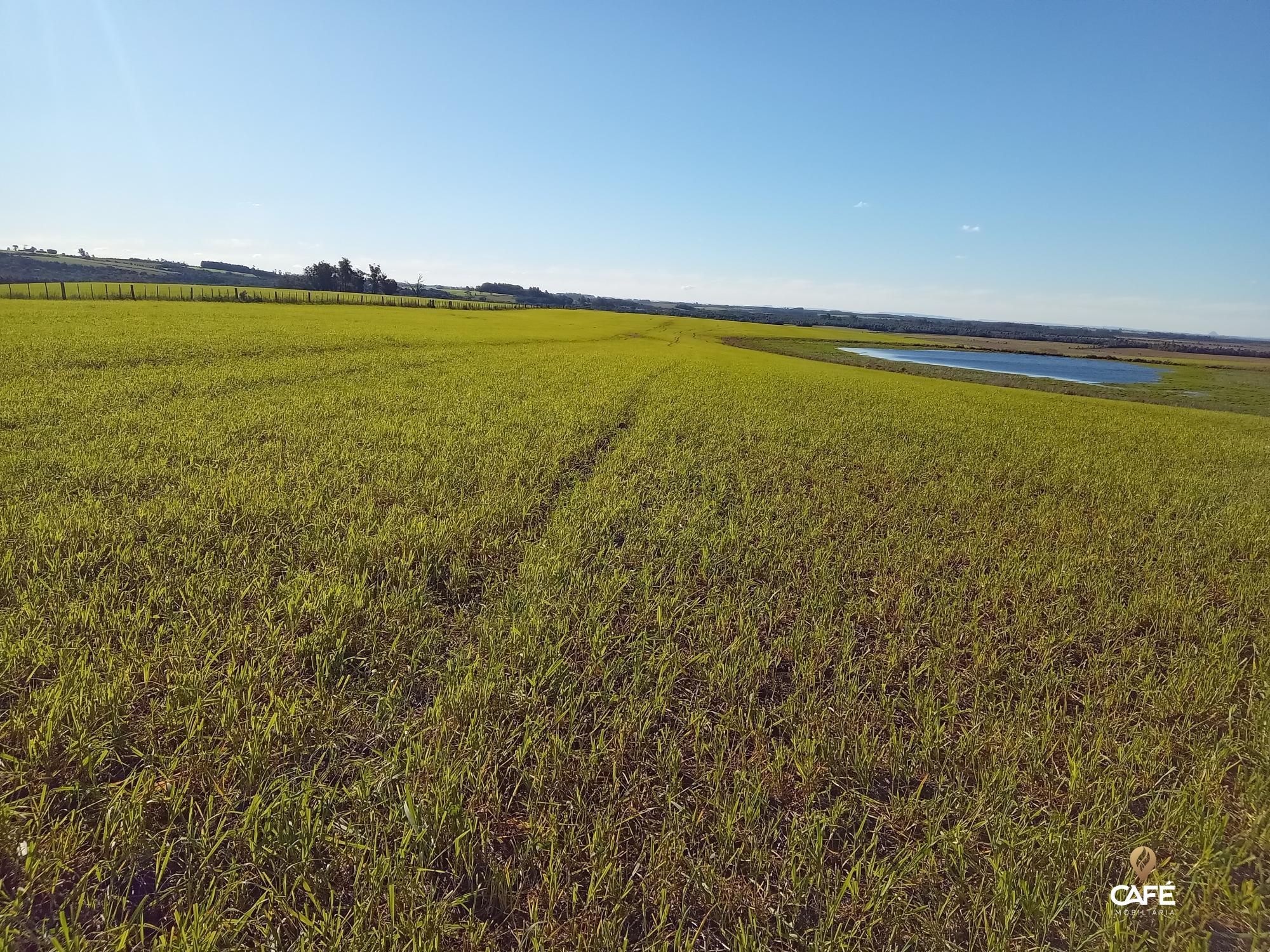 Loteamento e Condomínio, 1520000 hectares - Foto 1