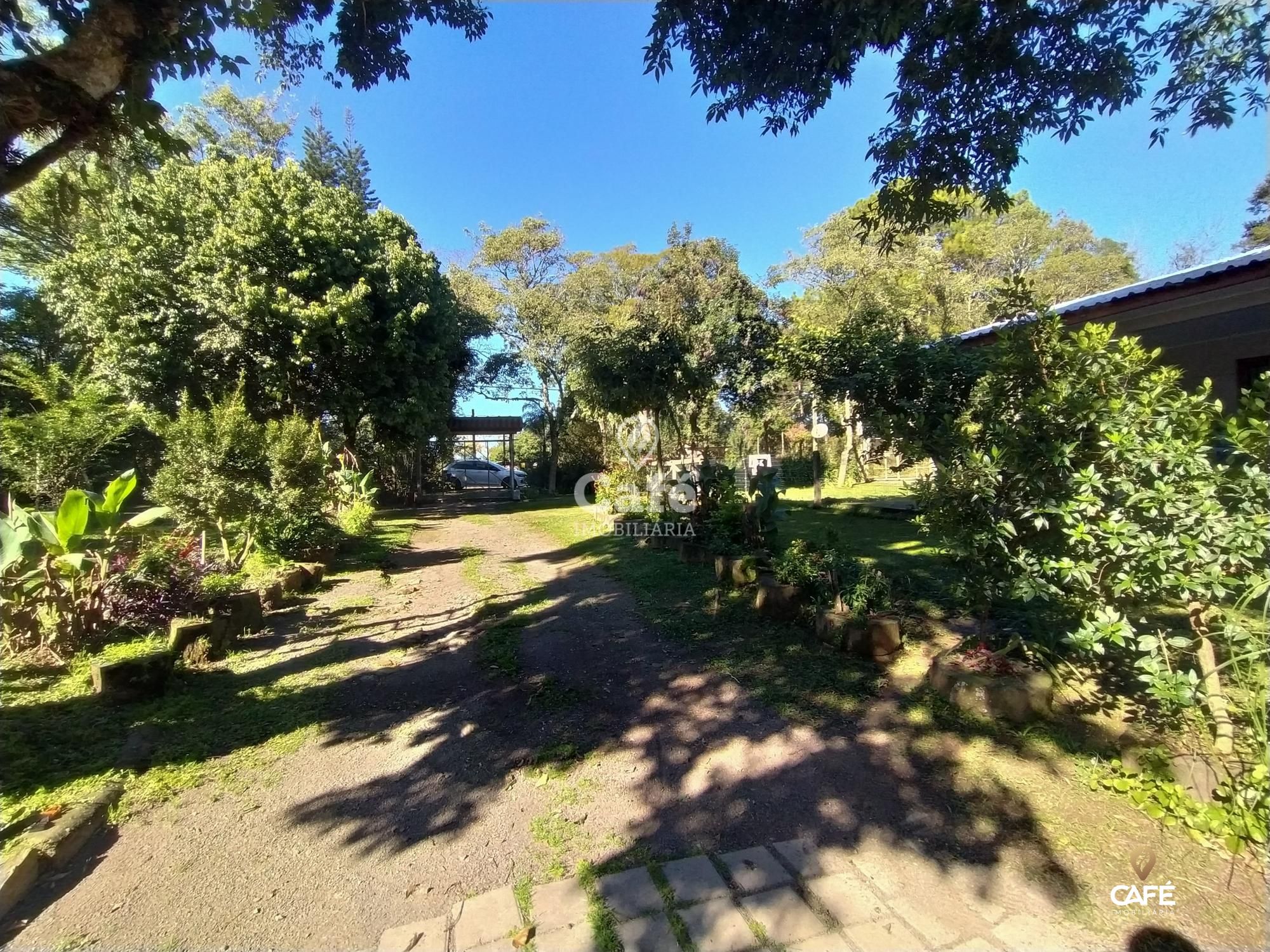 Fazenda à venda com 4 quartos, 135m² - Foto 13