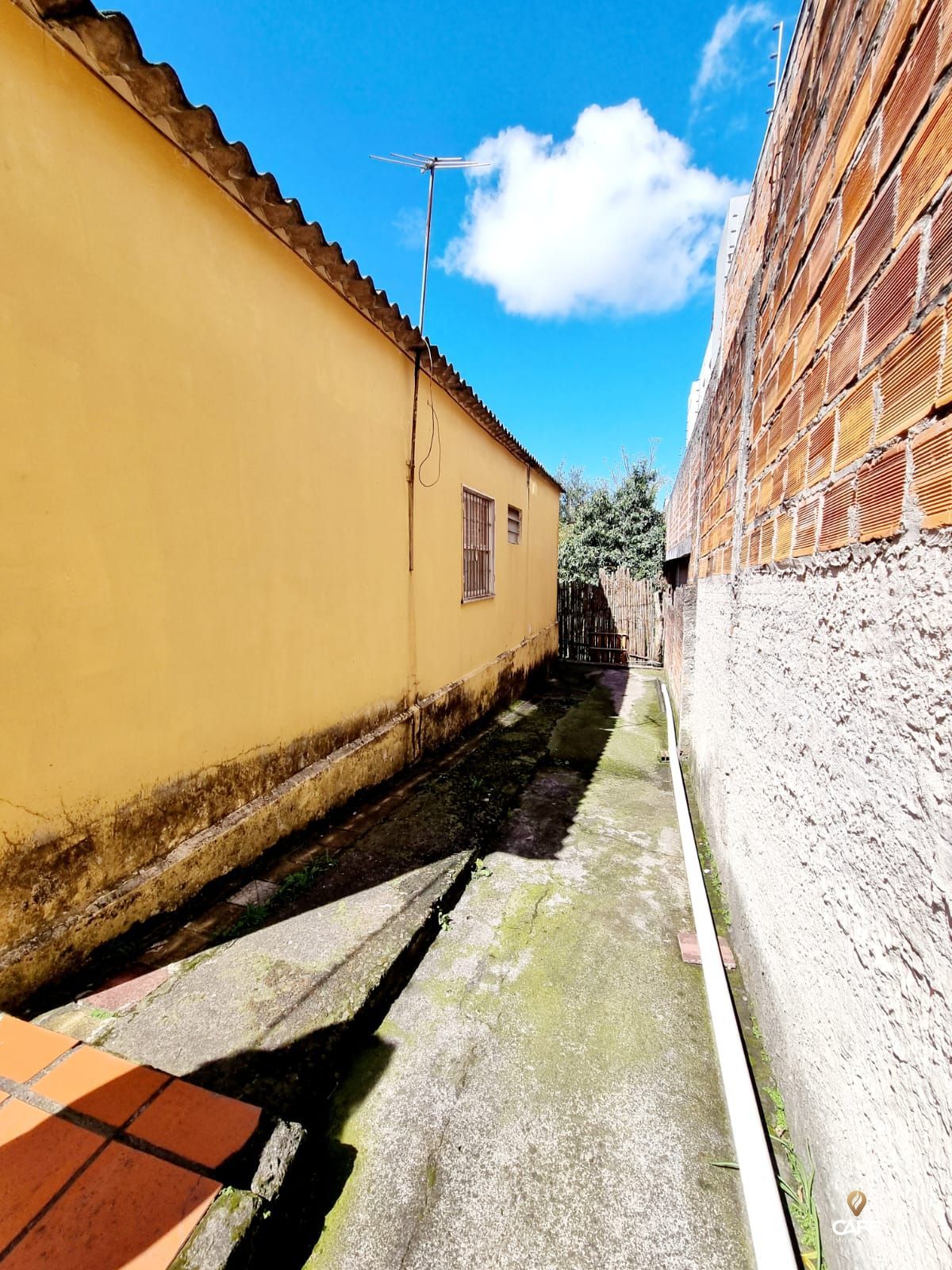 Casa, 3 quartos, 1152 m² - Foto 5