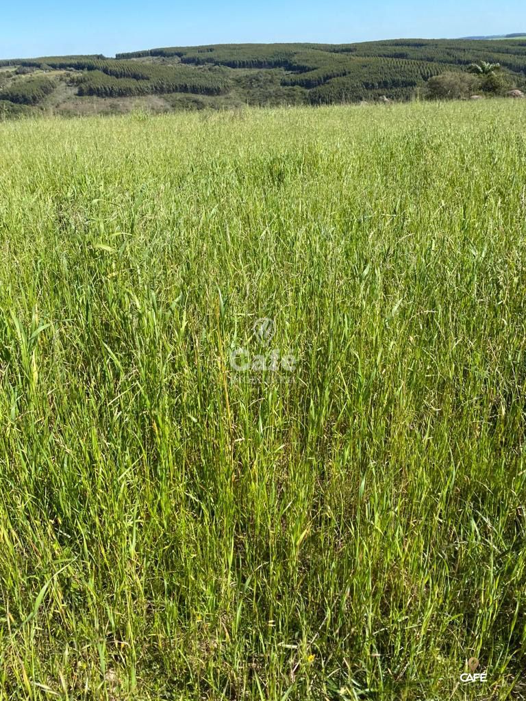 Loteamento e Condomínio, 420000 hectares - Foto 10