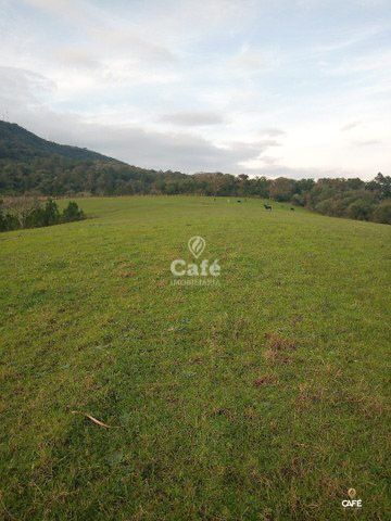 Loteamento e Condomínio, 114300 hectares - Foto 2