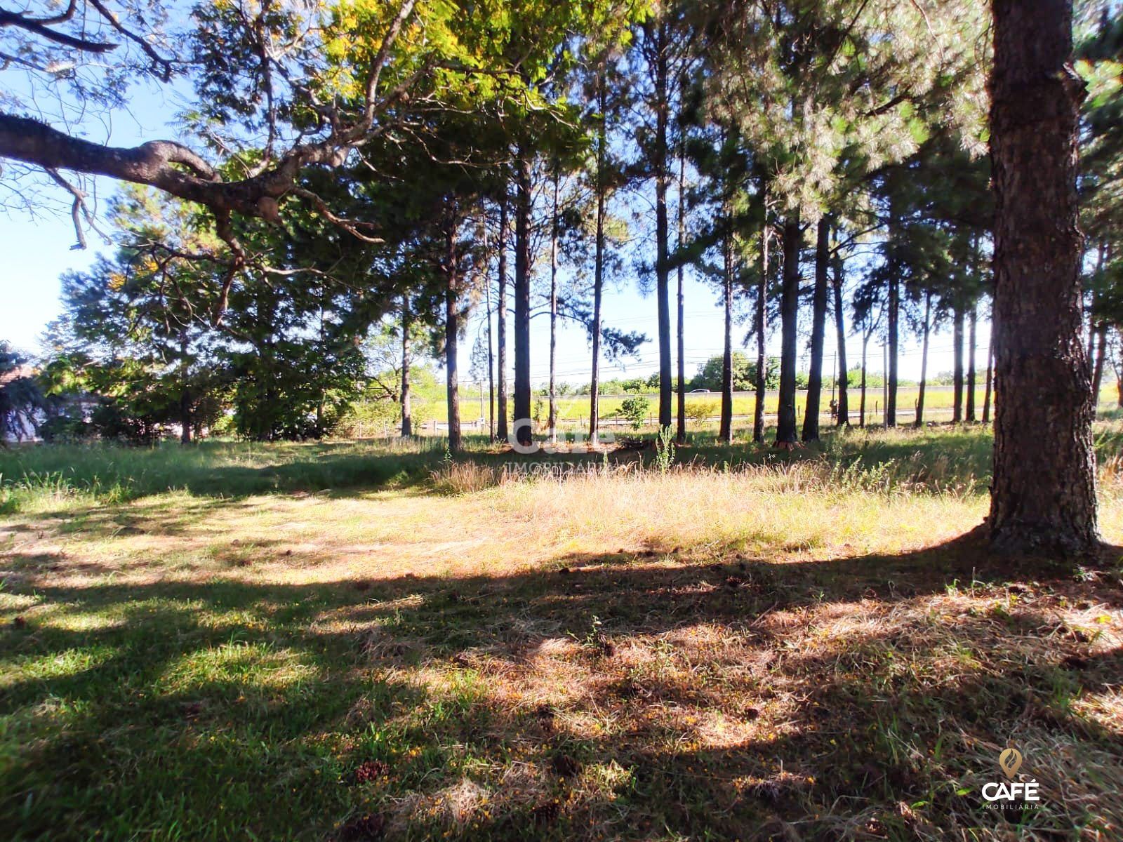 Terreno à venda, 37m² - Foto 3