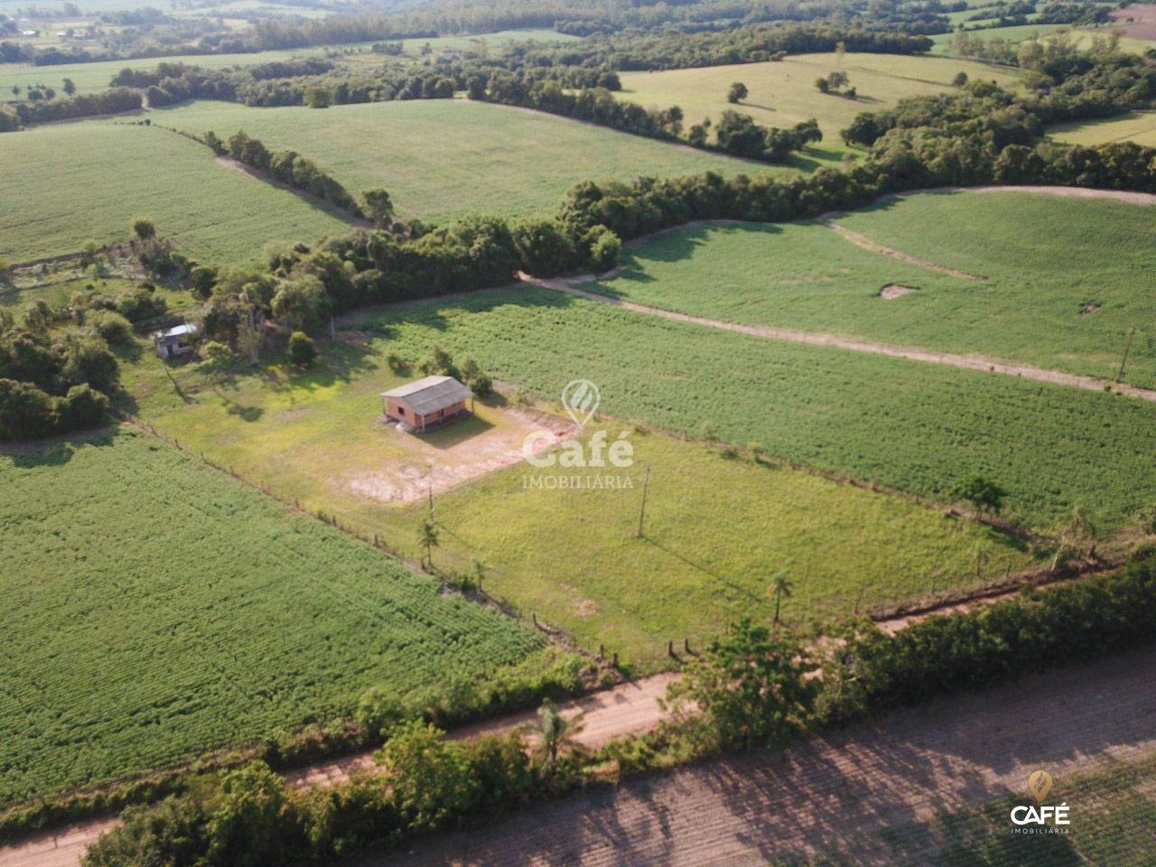 Terreno à venda, 10000m² - Foto 3