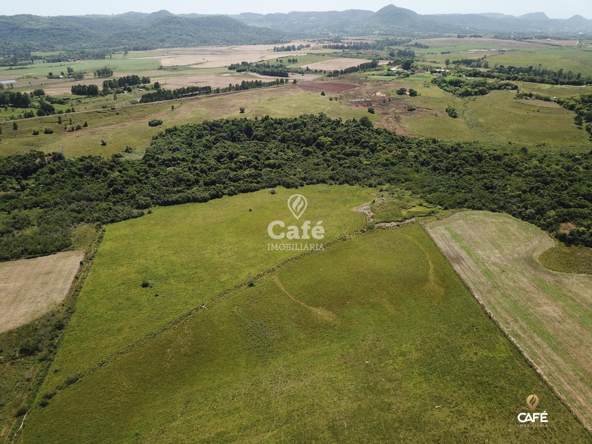 Fazenda à venda com 2 quartos, 180000m² - Foto 12