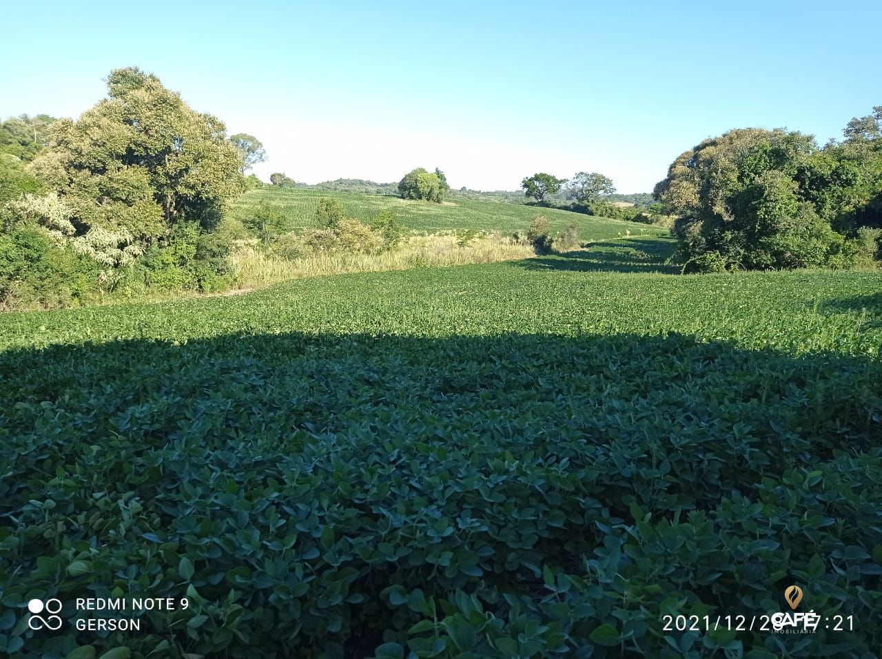 Fazenda à venda, 830000000m² - Foto 2