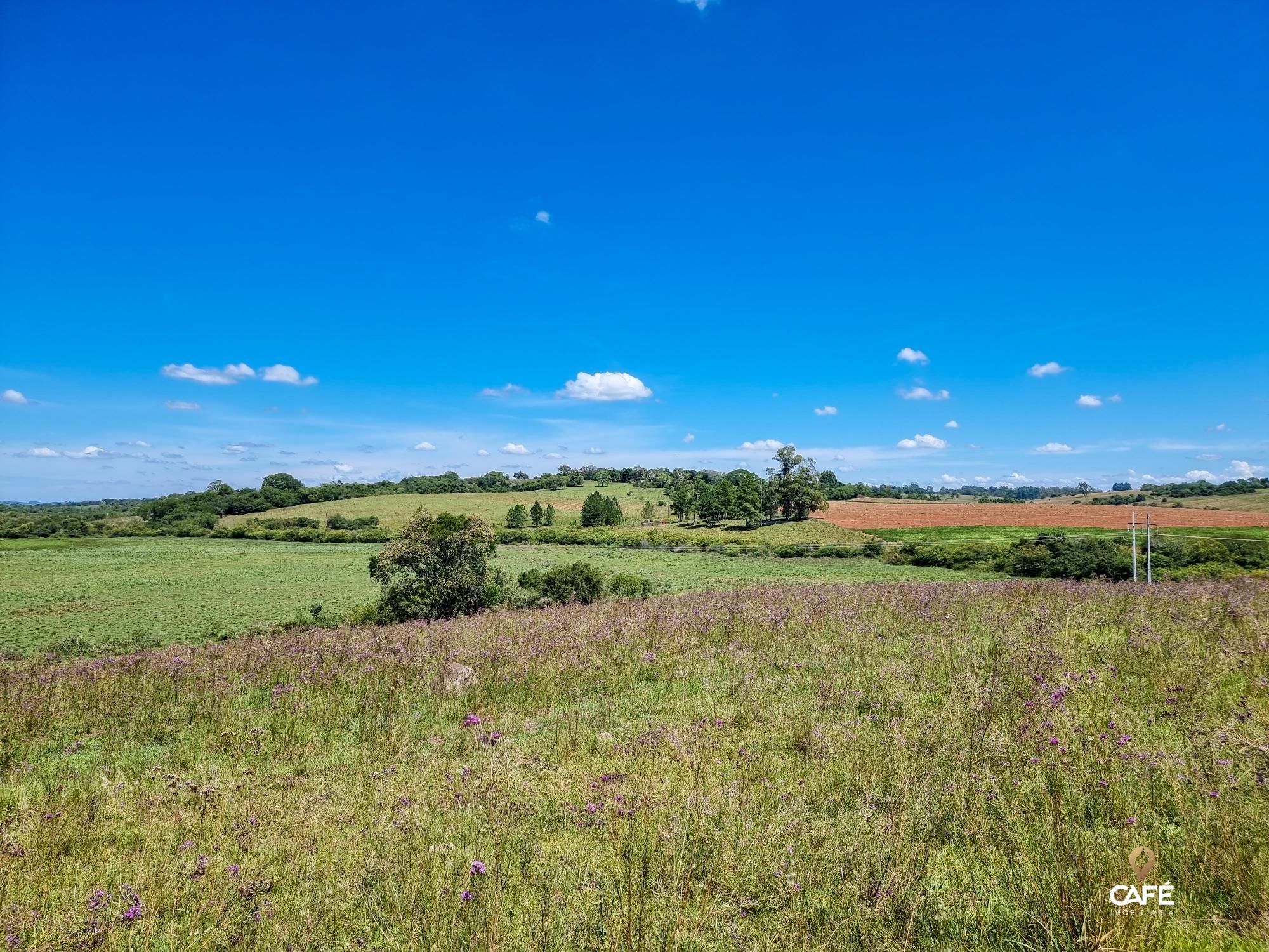 Loteamento e Condomínio à venda, 500000000m² - Foto 4