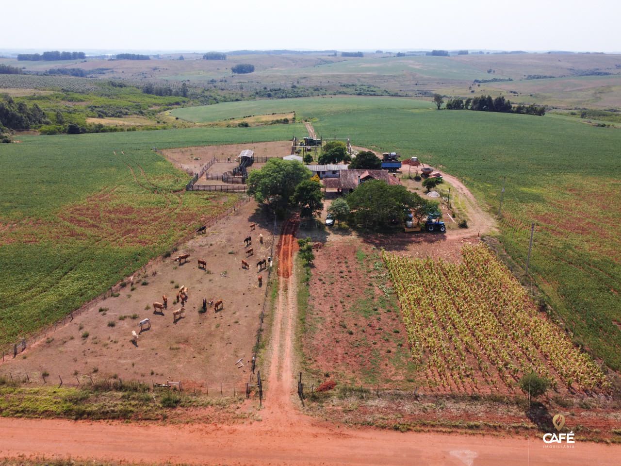 Fazenda à venda com 3 quartos, 186m² - Foto 9