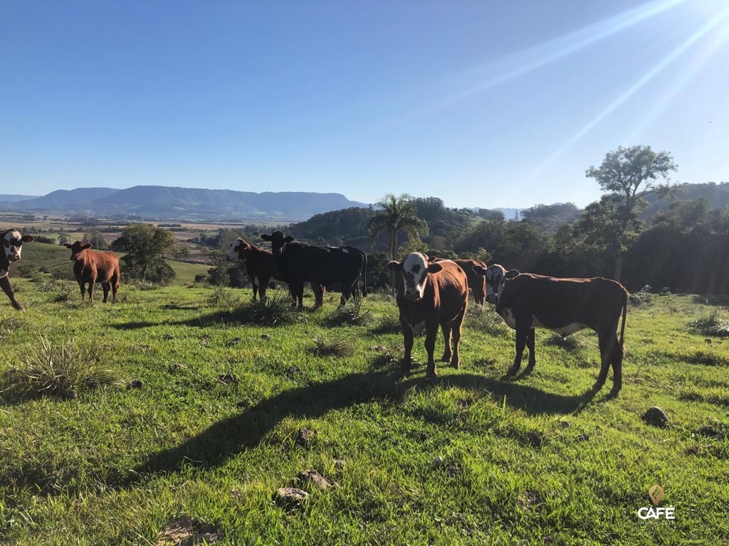 Loteamento e Condomínio à venda, 4800000000m² - Foto 7