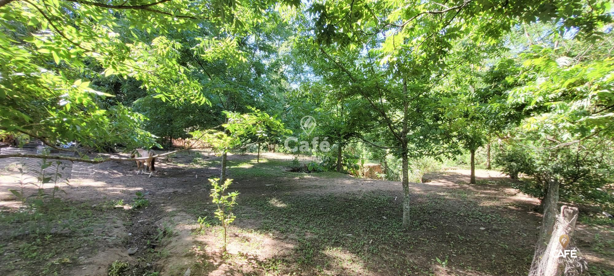 Terreno, 3758 m² - Foto 2