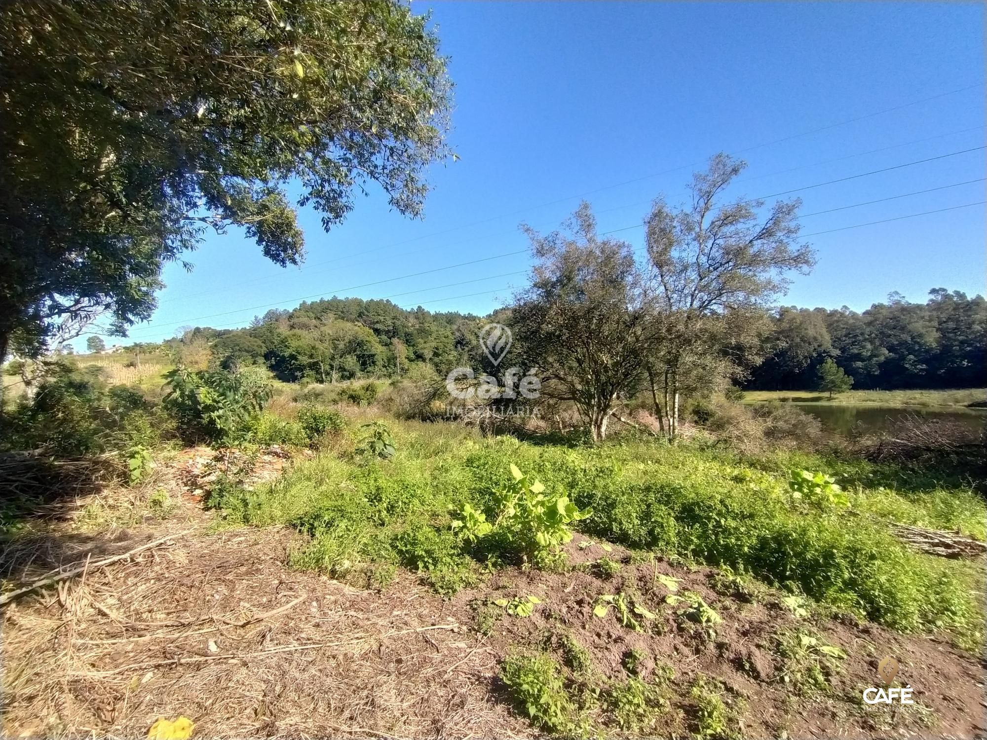 Chácara, 4 quartos, 20000 hectares - Foto 16