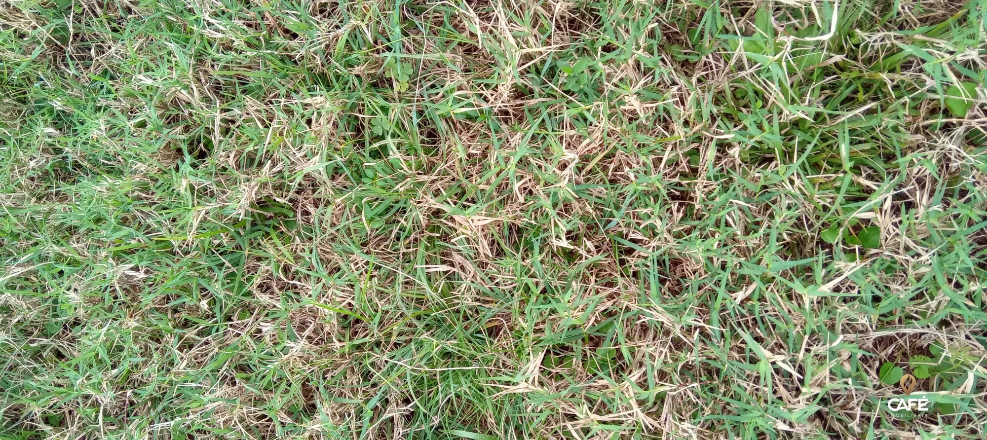 Loteamento e Condomínio, 1520000 hectares - Foto 7