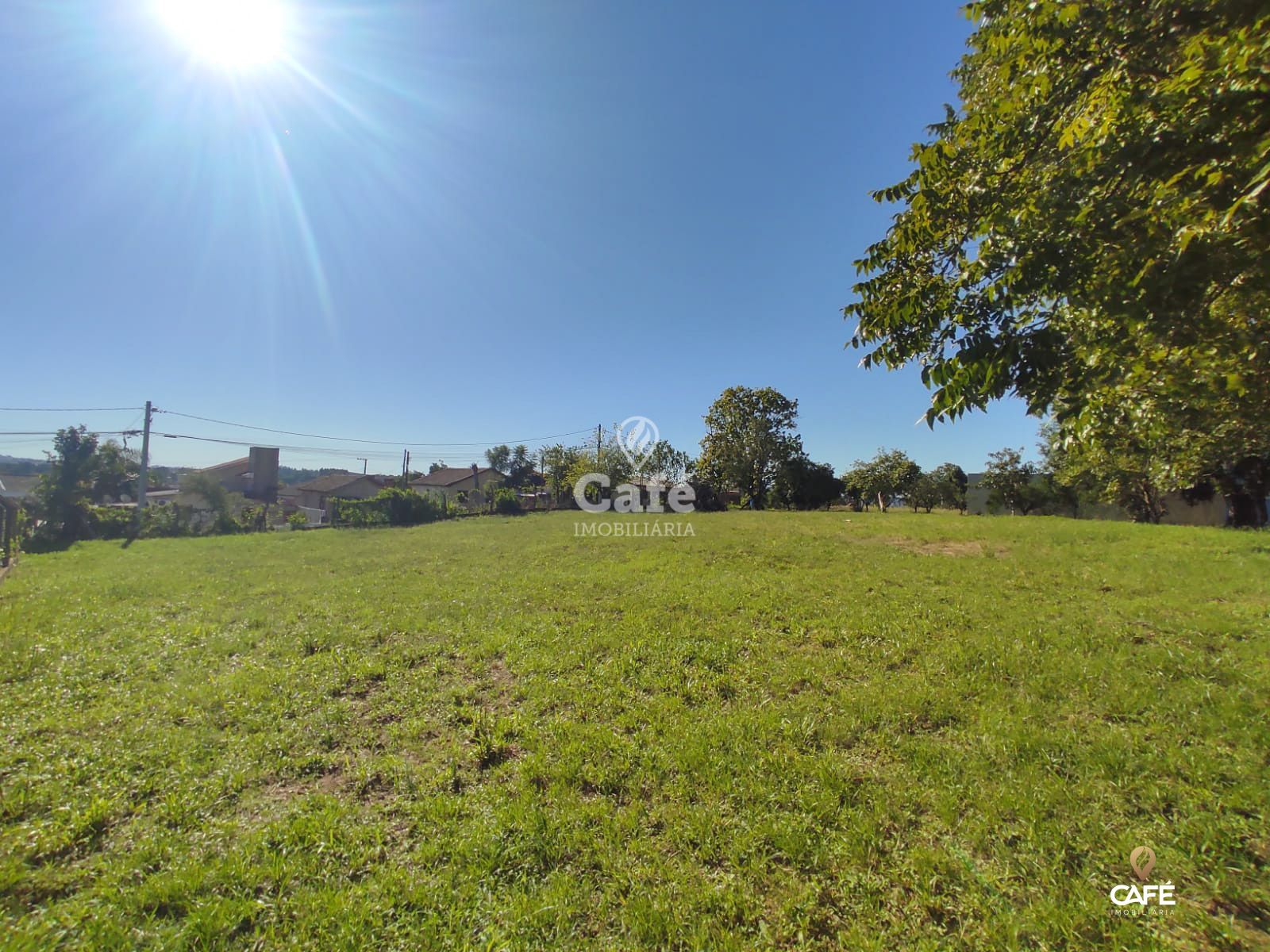 Terreno, 1000 m² - Foto 5