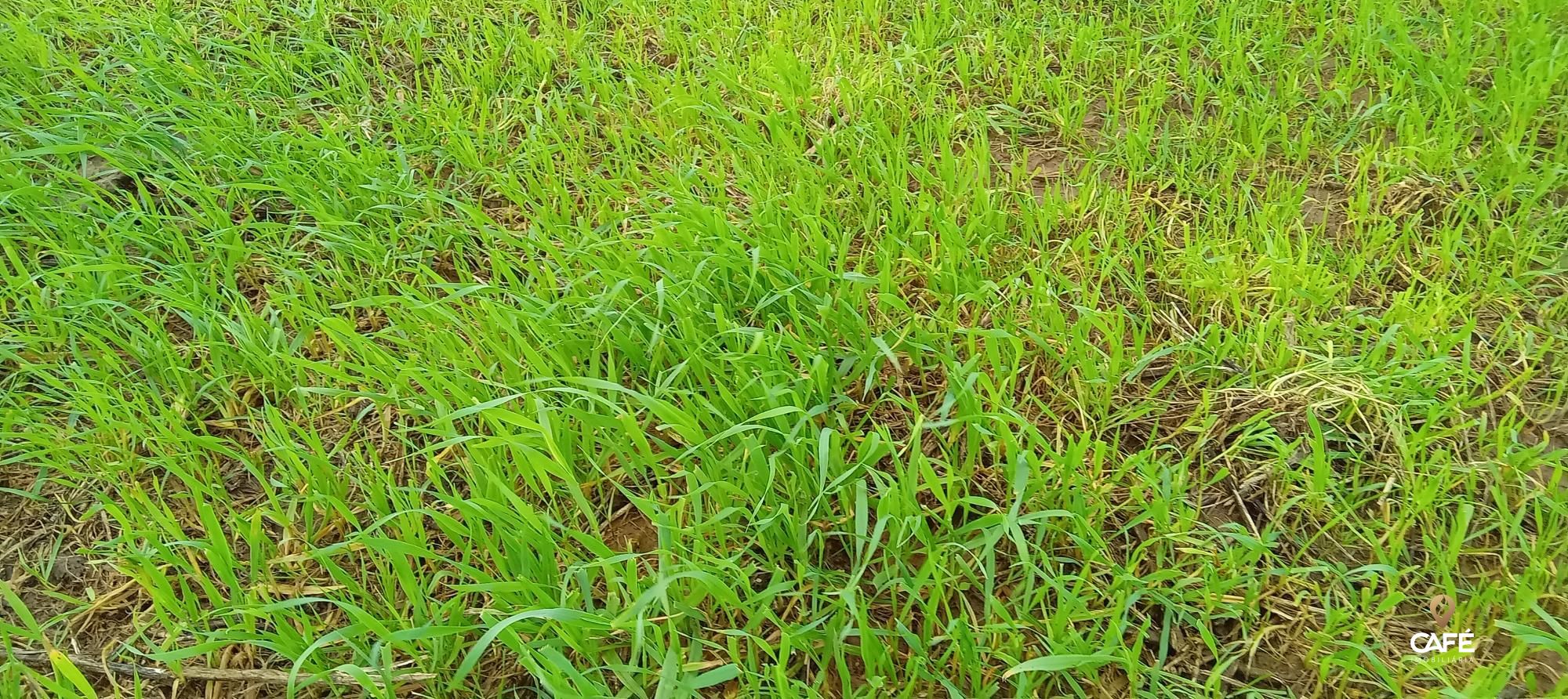 Loteamento e Condomínio, 1520000 hectares - Foto 11