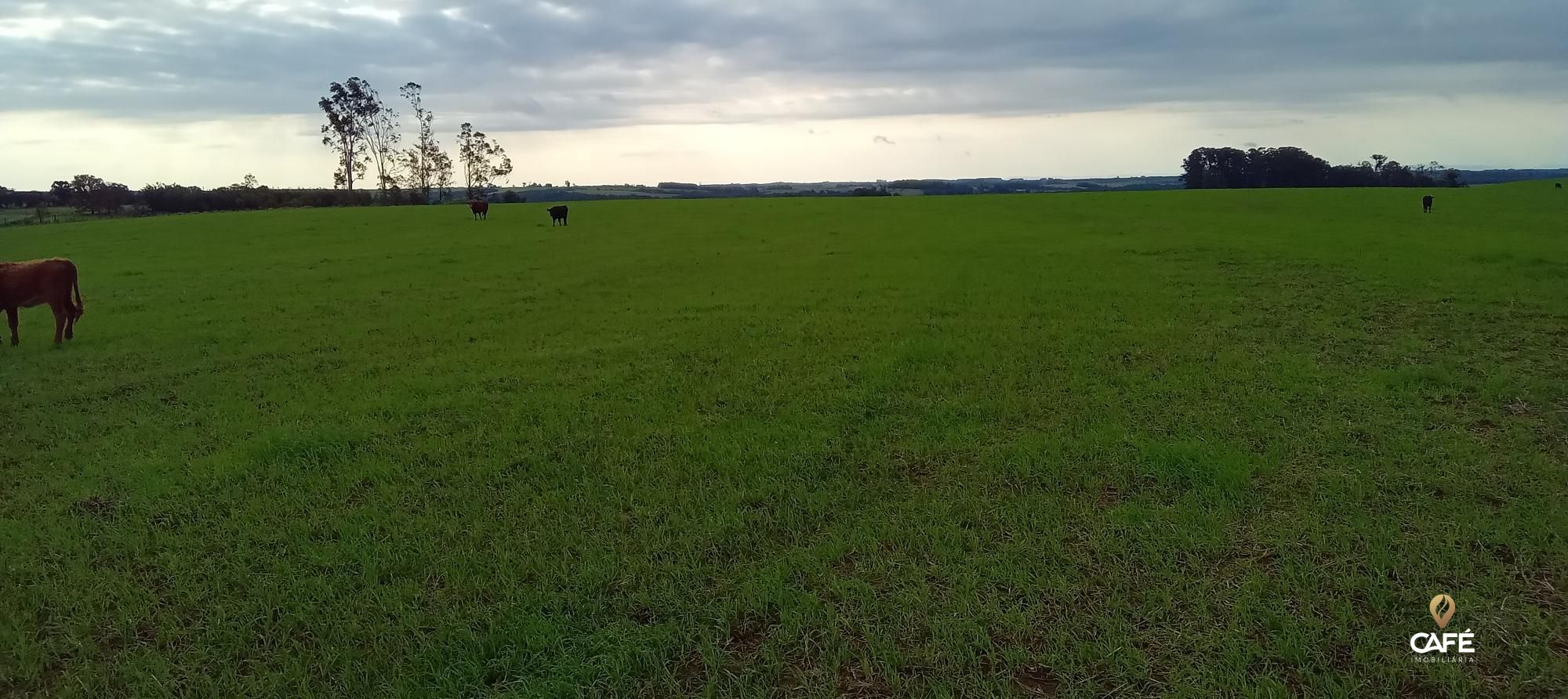 Loteamento e Condomínio, 1520000 hectares - Foto 12